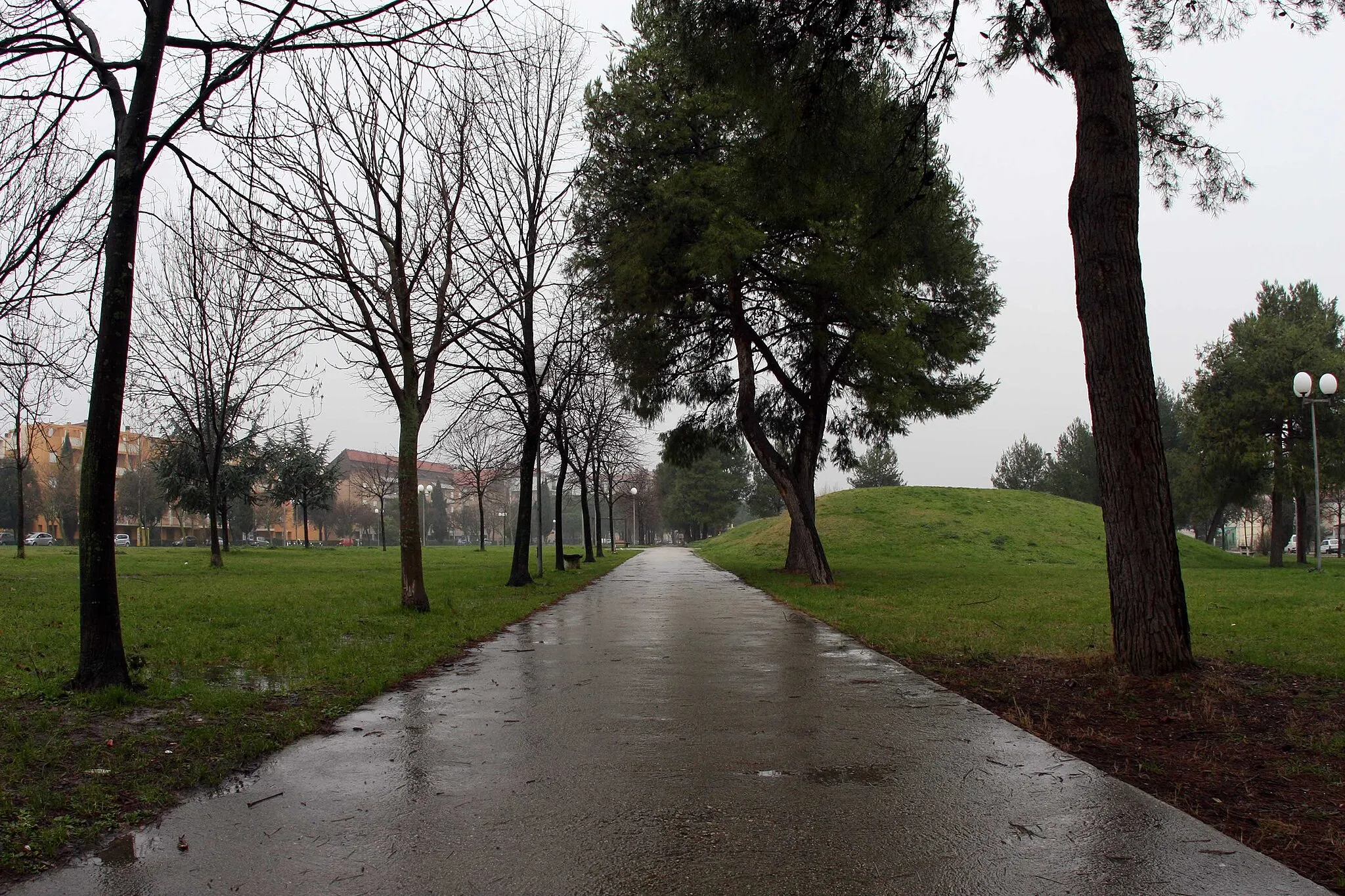 Photo showing: Parco della Pace, inverno