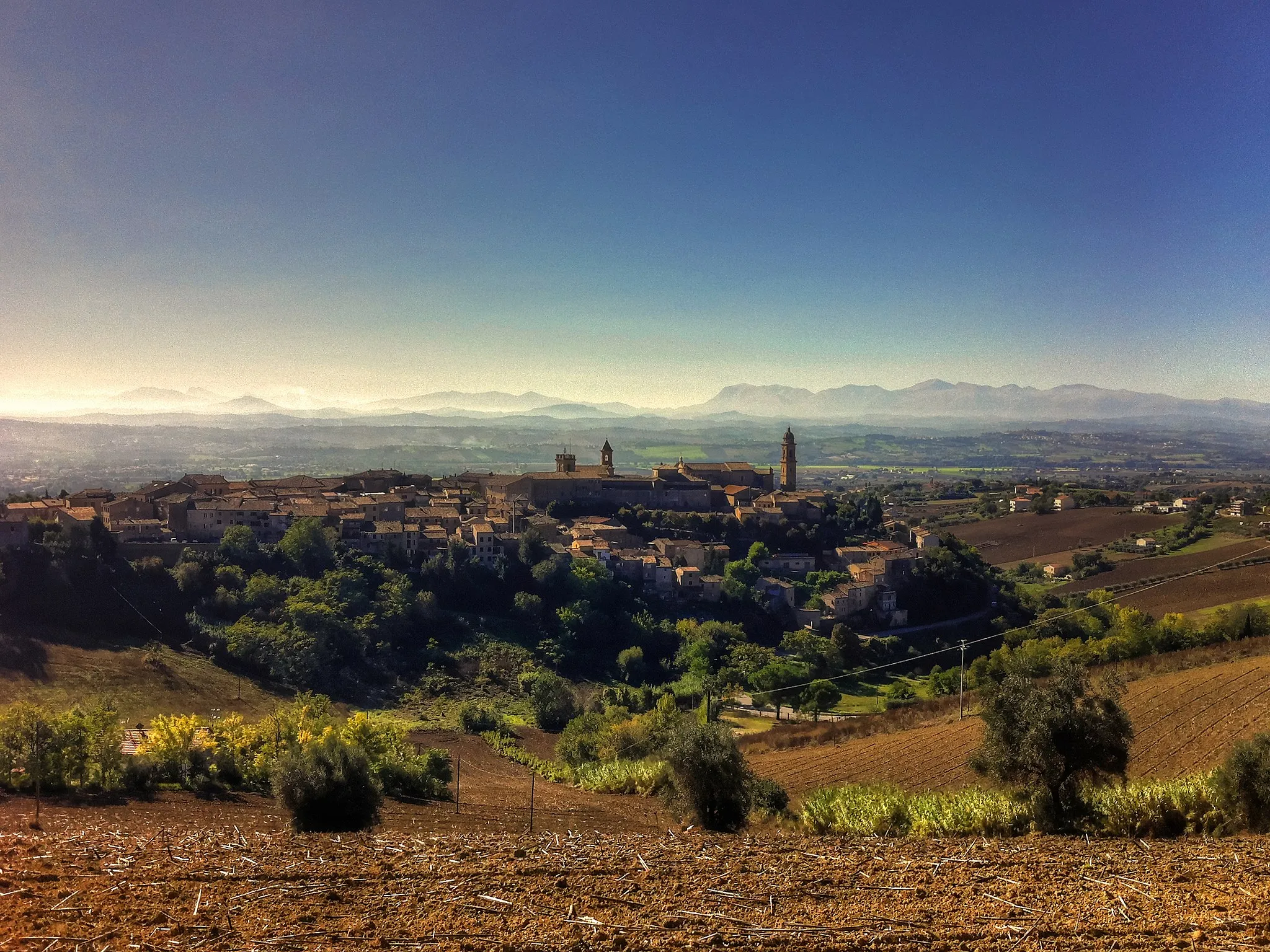 Image of Marche