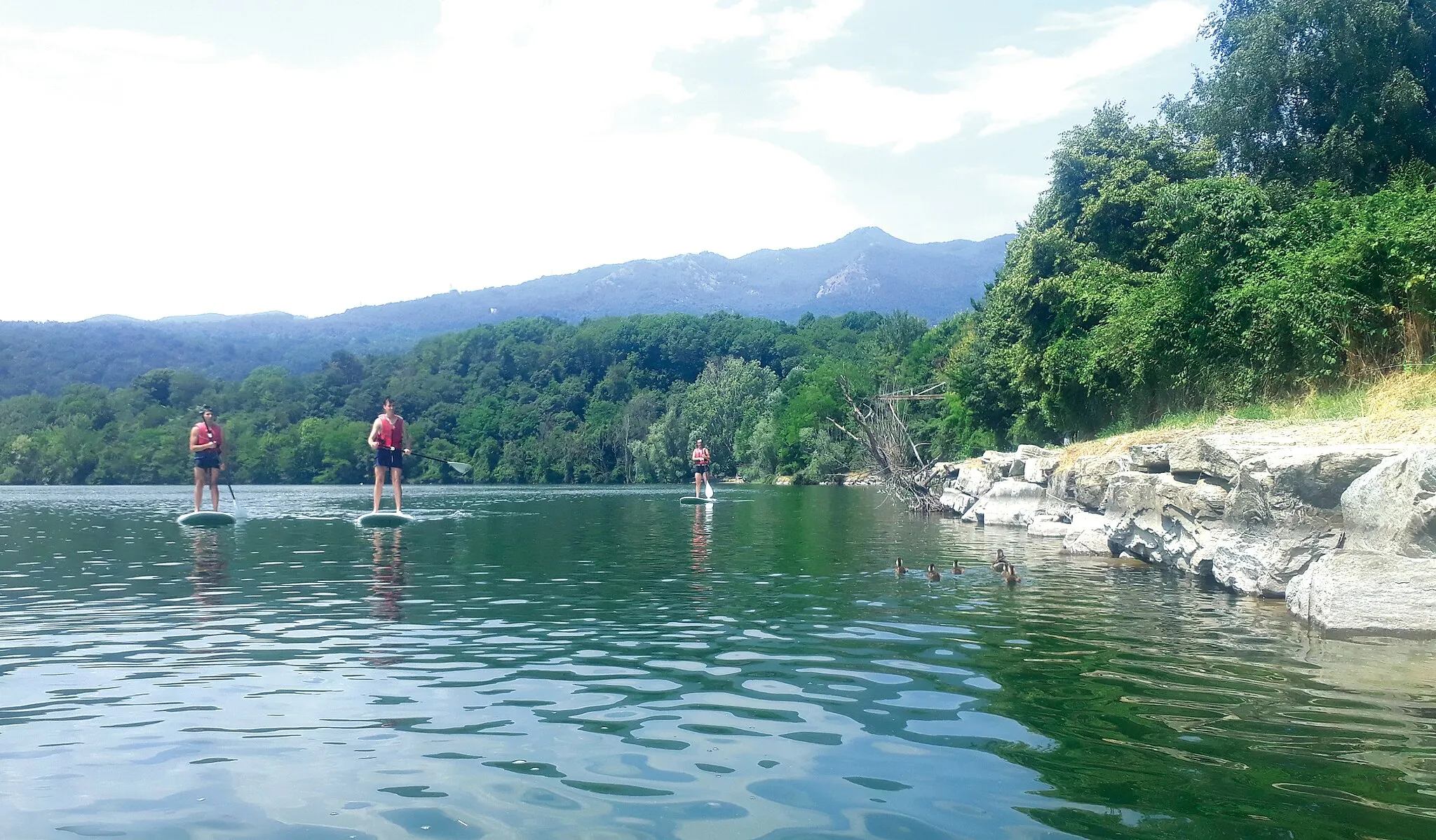 Photo showing: Parco naturale dei laghi di Avigliana (Q3895631)