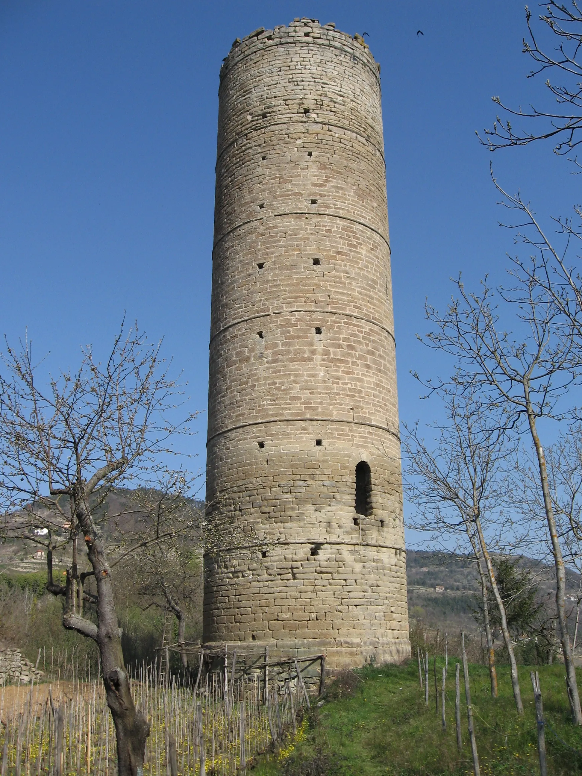Photo showing: La Torre di Cortemilia vista dall'accesso sud-est.
Area del castello medioevale di Cortemilia (Cuneo). Giovanni Destefanis, opera propria.