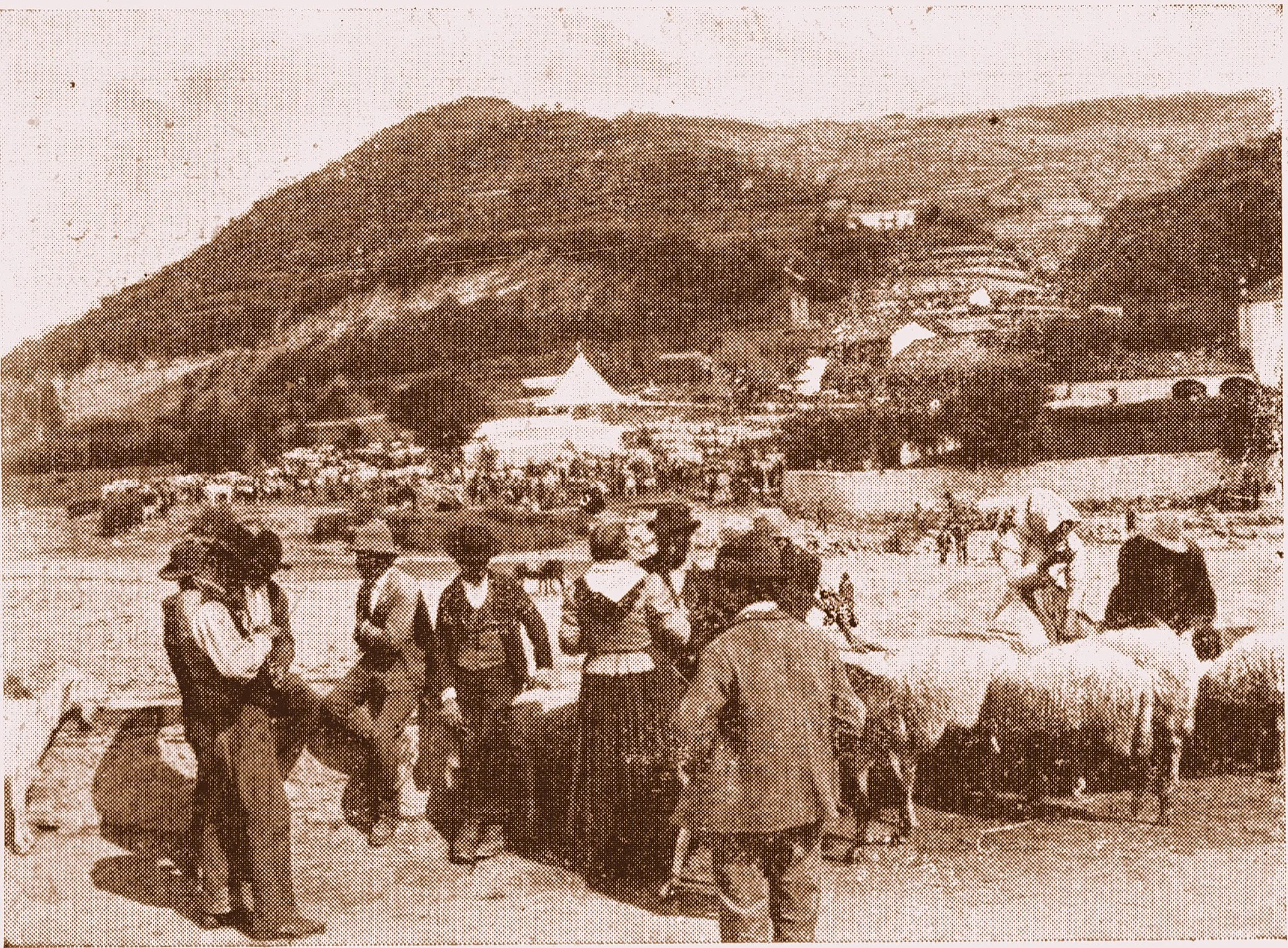 Photo showing: Fotografia storica della fiera del bestiame a Cortemilia - Borgo La Pieve - anteriore al 1900.