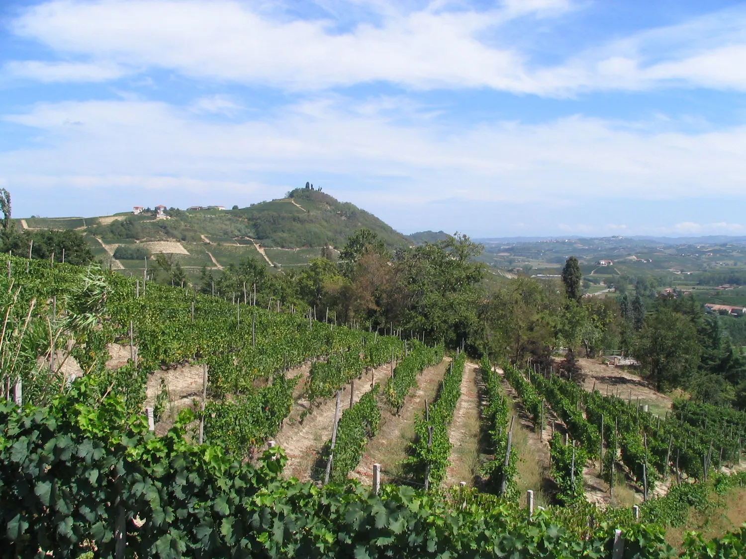 Photo showing: Costigliole d'Asti, veduta di bricco Lu