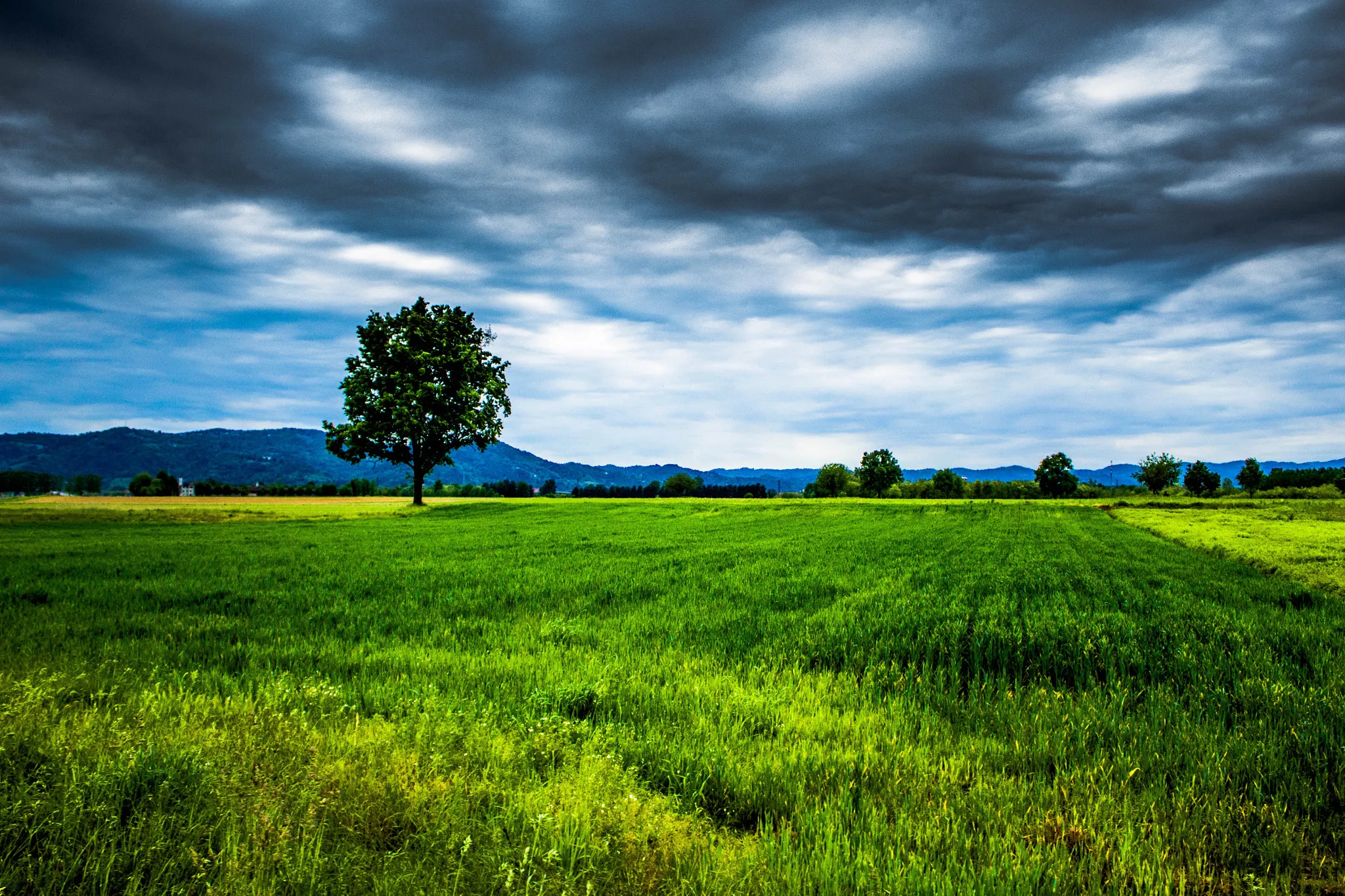 Photo showing: 500px provided description: A tree stands alone, meditative atop of a green field, with a hat made of blue and grey clouds, in front of the biggest mountain range system in Europe, the Alps. [#field ,#landscape ,#nature ,#clouds ,#cloudy ,#tree ,#green ,#landscapes ,#fields ,#cloud ,#meditative ,#nature photograph ,#nature pics ,#immersive]