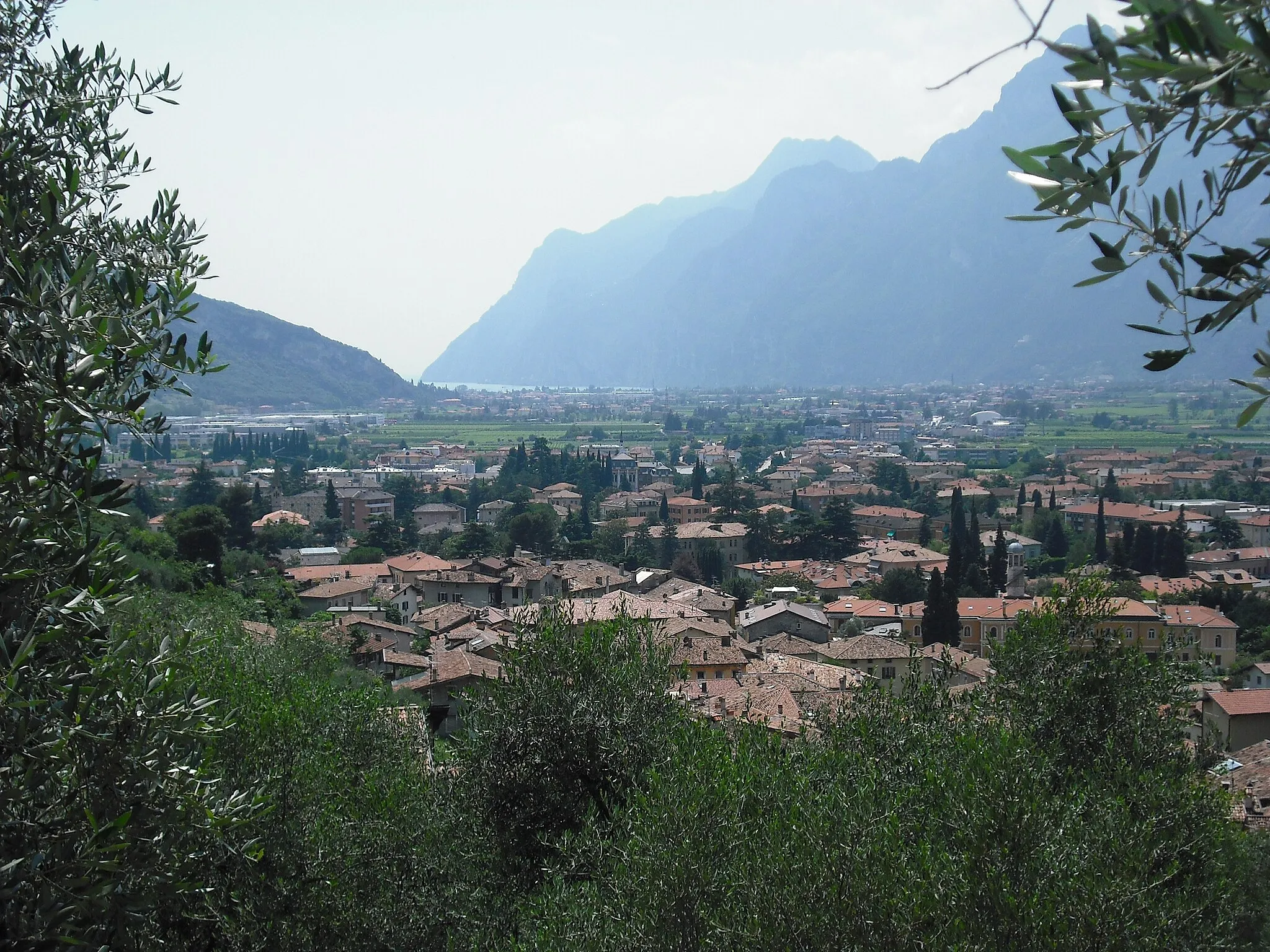 Image of Arco