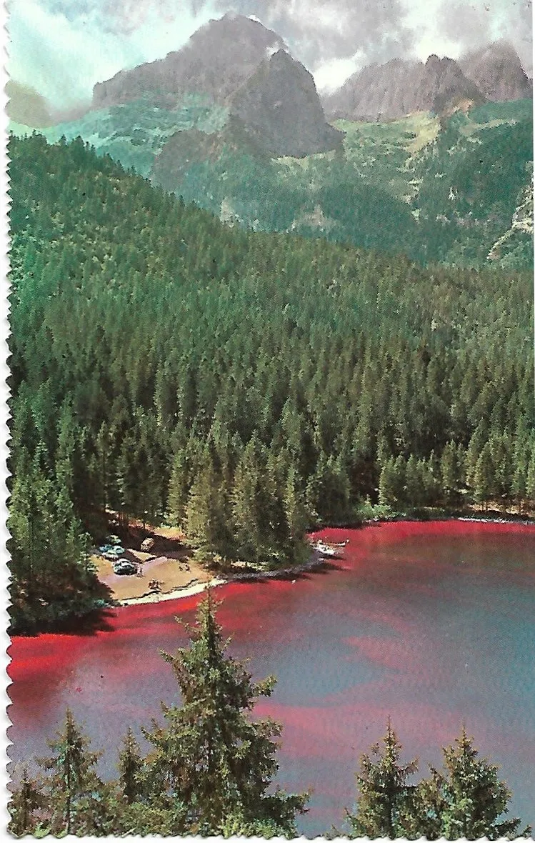 Photo showing: Lago di Tovel m. 1182 nel Gruppo di Brenta (Tuenno) - fenomeno di colorazione dell'unio lago rosso