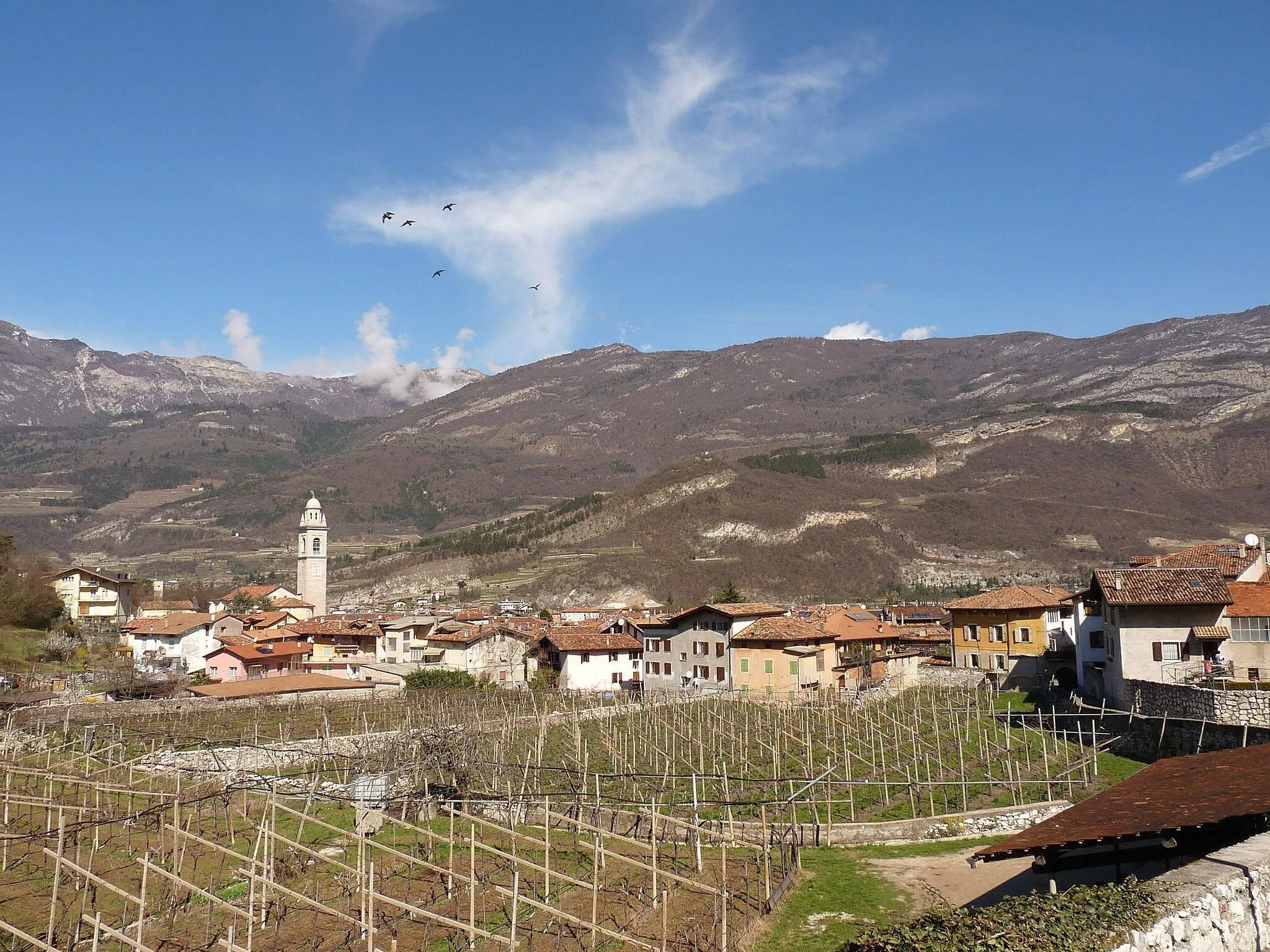 Afbeelding van Provincia Autonoma di Trento
