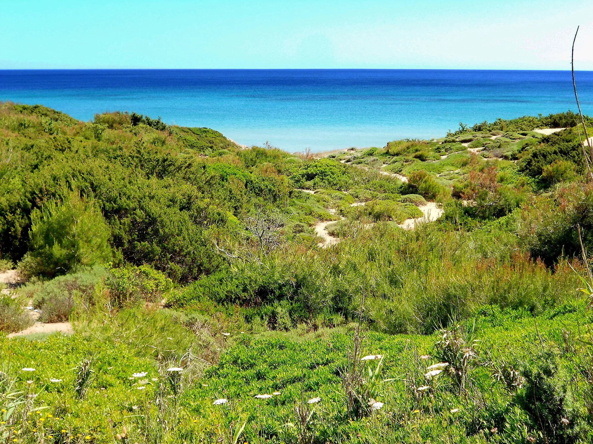 Immagine di Puglia