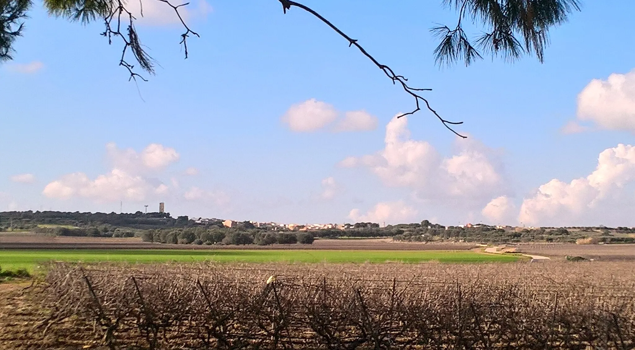 Image of Puglia