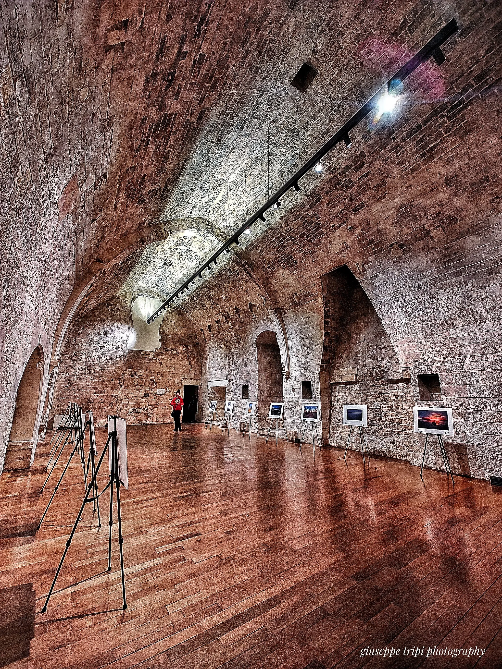 Photo showing: Castello Normanno-Svevo (castello nel comune italiano di Sannicandro di Bari (BA))