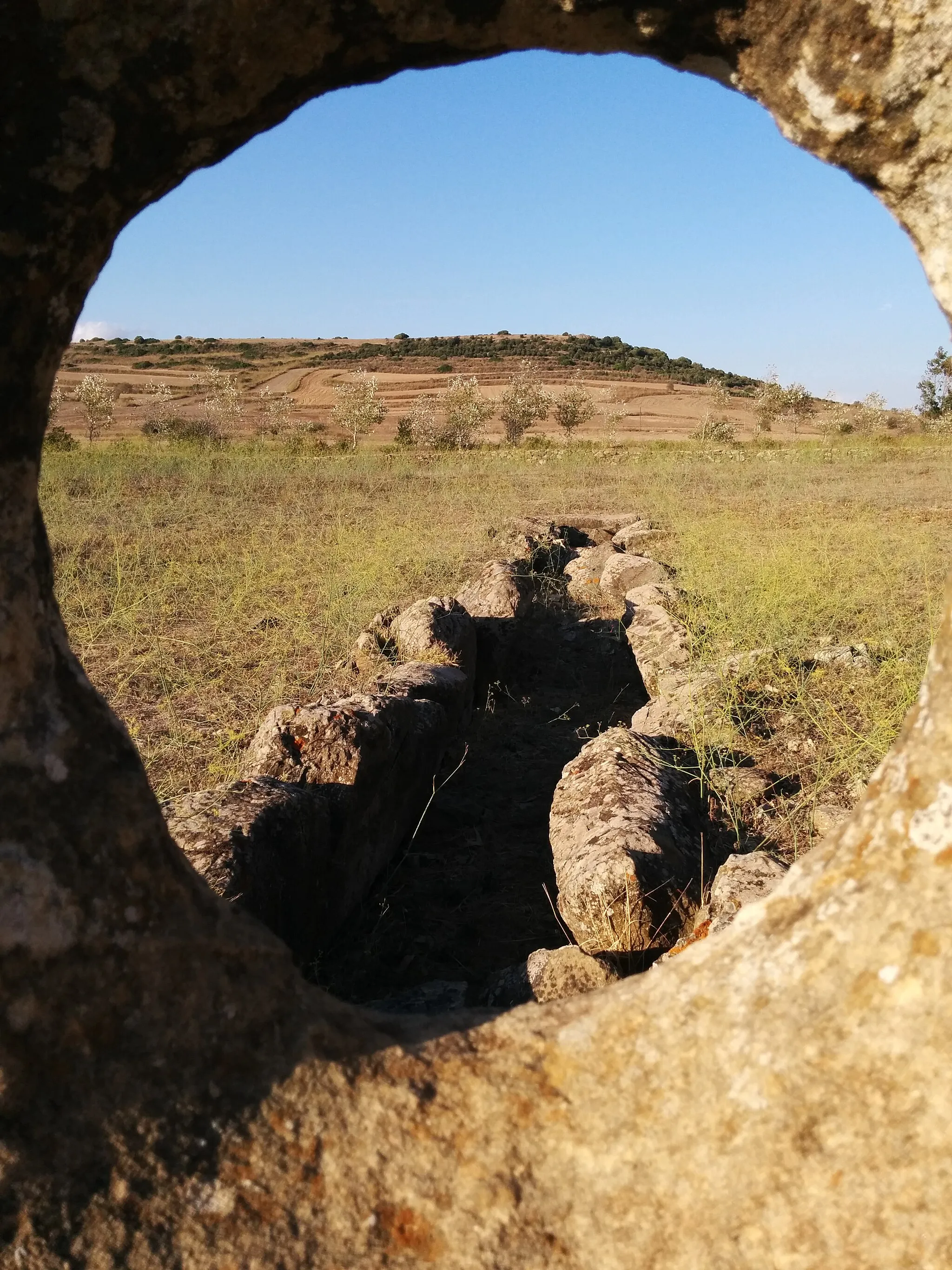 Image of Sardegna