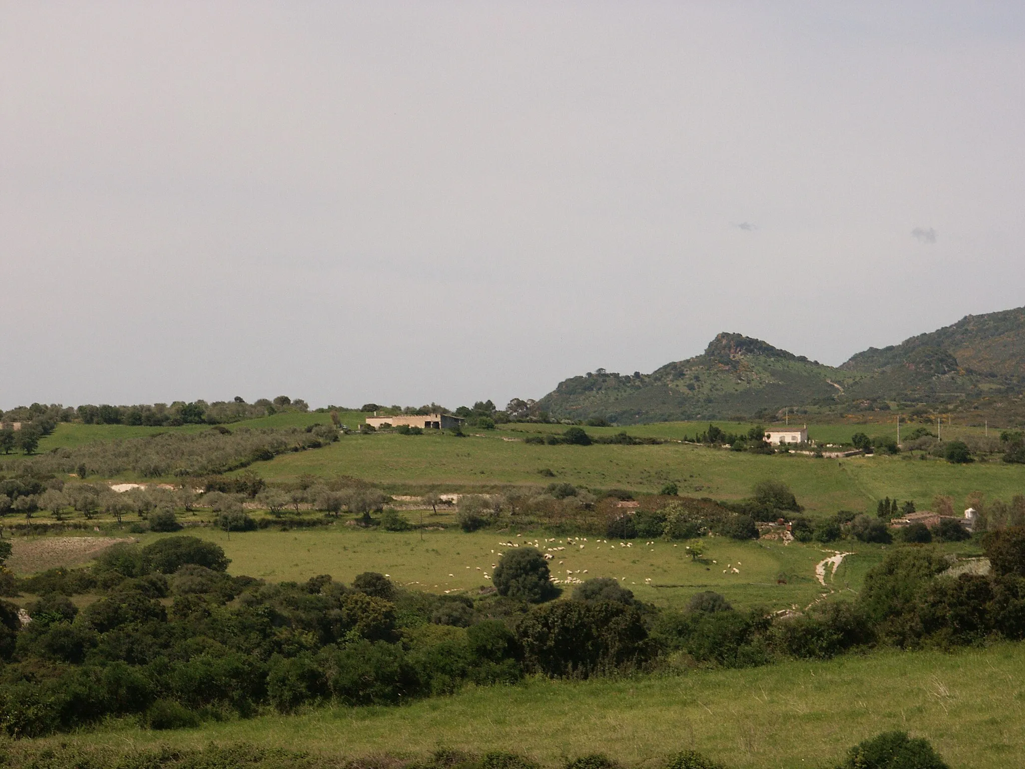 Image of Sardegna
