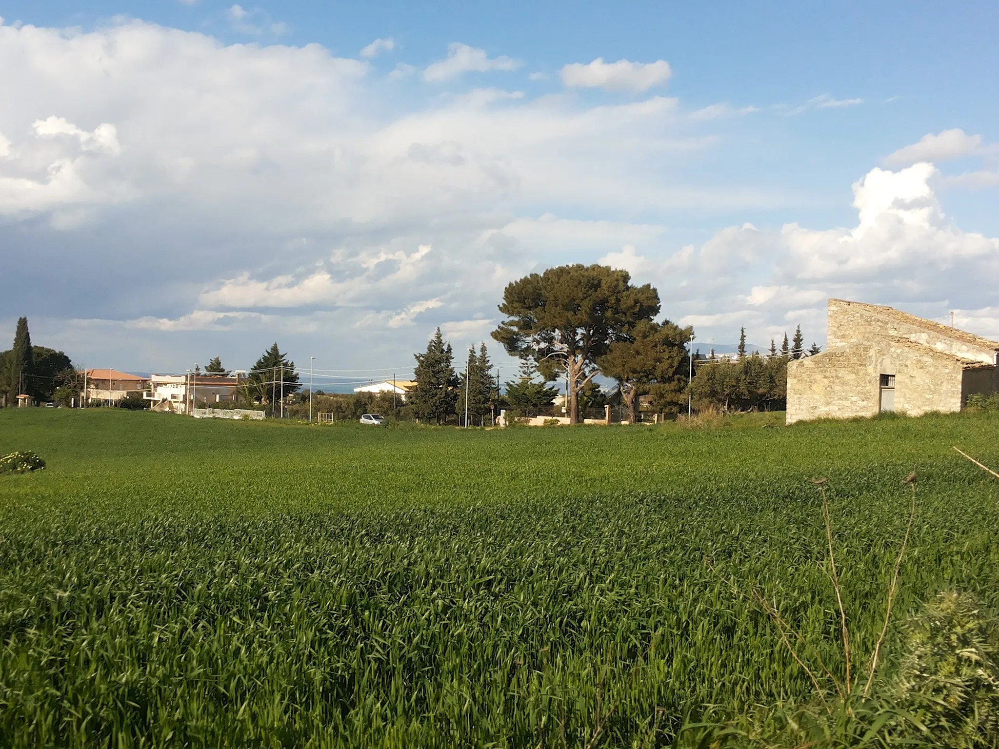 Photo showing: Campagna nei dintorni di Alcamo