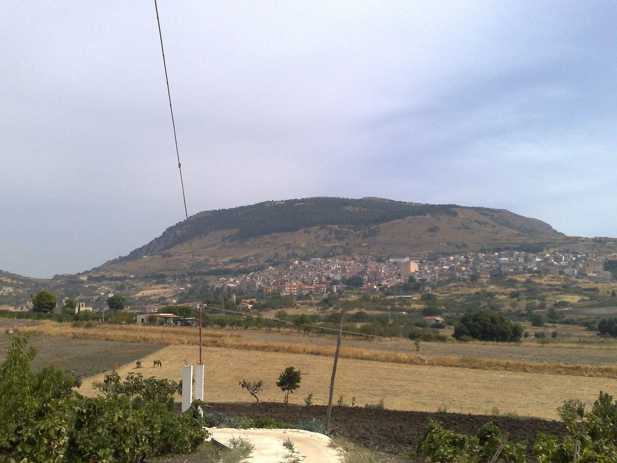Image of Bisacquino