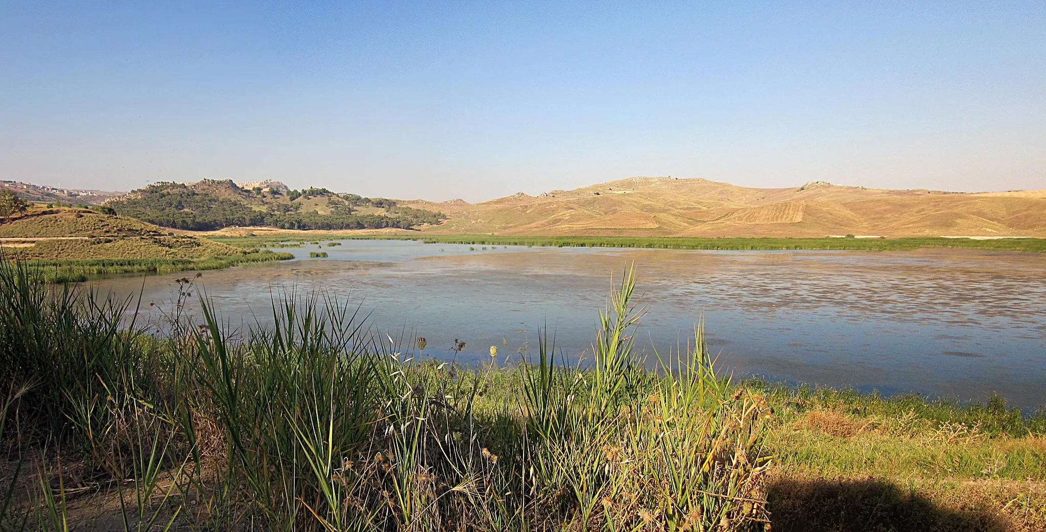 Photo showing: Il Lago Comunelli è un bacino artificiale situato a sud-ovest di Butera che rappresenta un rifugio per molte specie dell'avifauna.