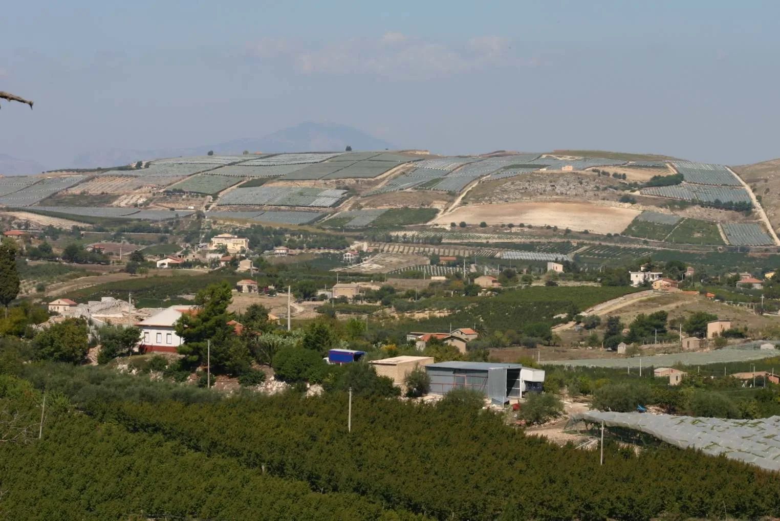 Photo showing: Vigneti e pescheti di Canicattì