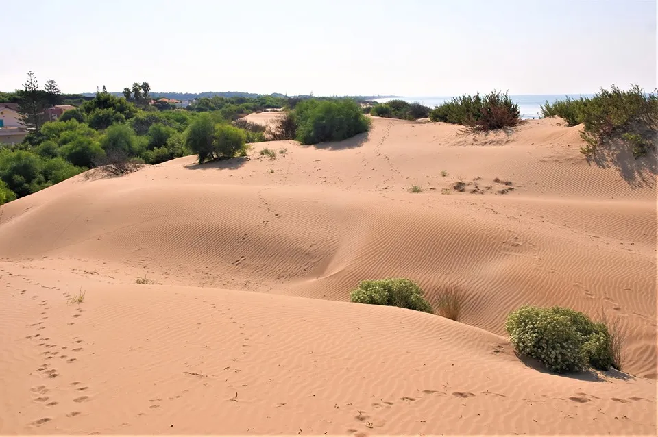 Photo showing: Dune di Santa Maria del Focallo