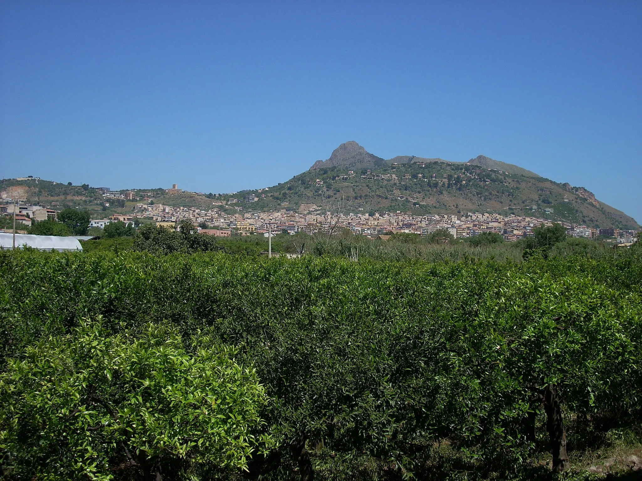 Photo showing: Panorama di Misilmeri. Agrumeti.