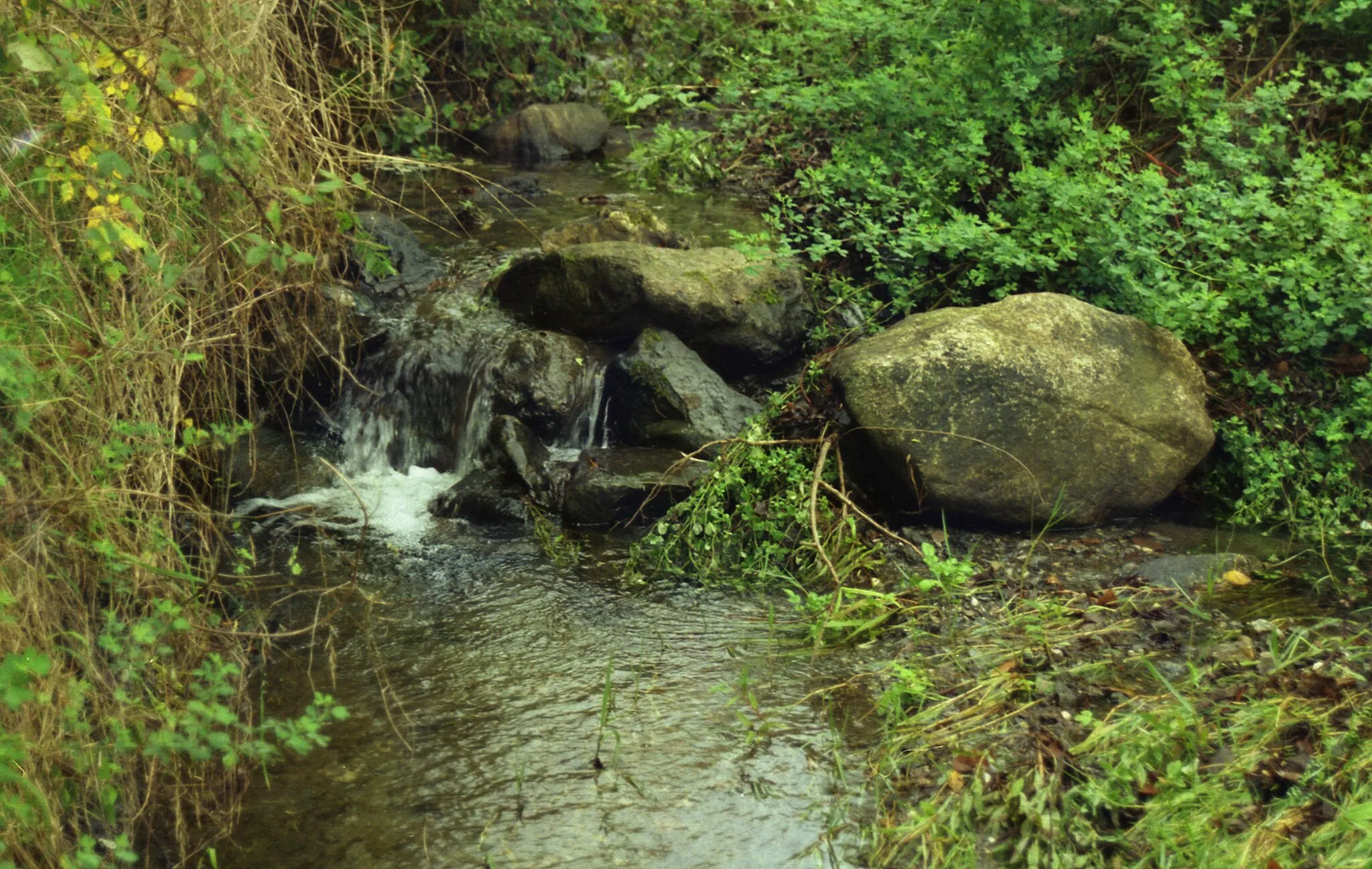 Photo showing: Torrente Urgeri