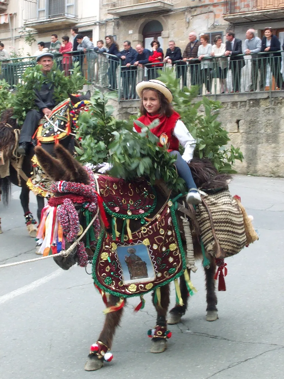 Photo showing: Troina - Festa dei Rami- Equini bardati