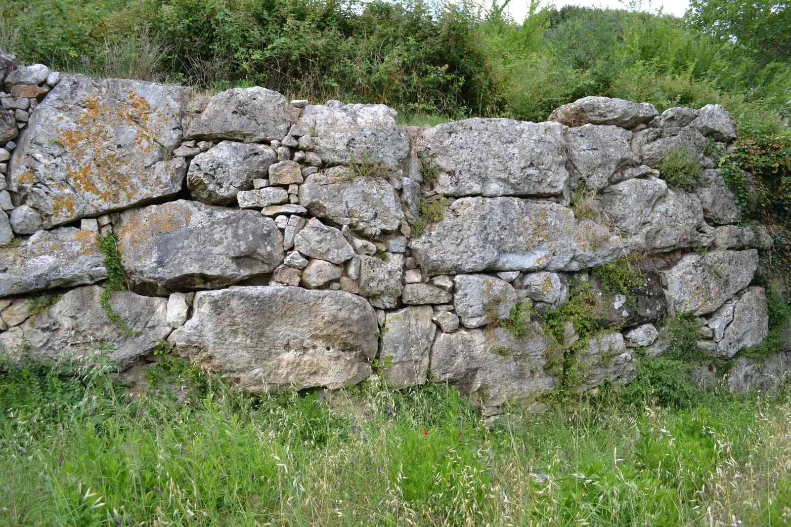 Photo showing: View of a polygonal masonry wall at Rusellae, Italy