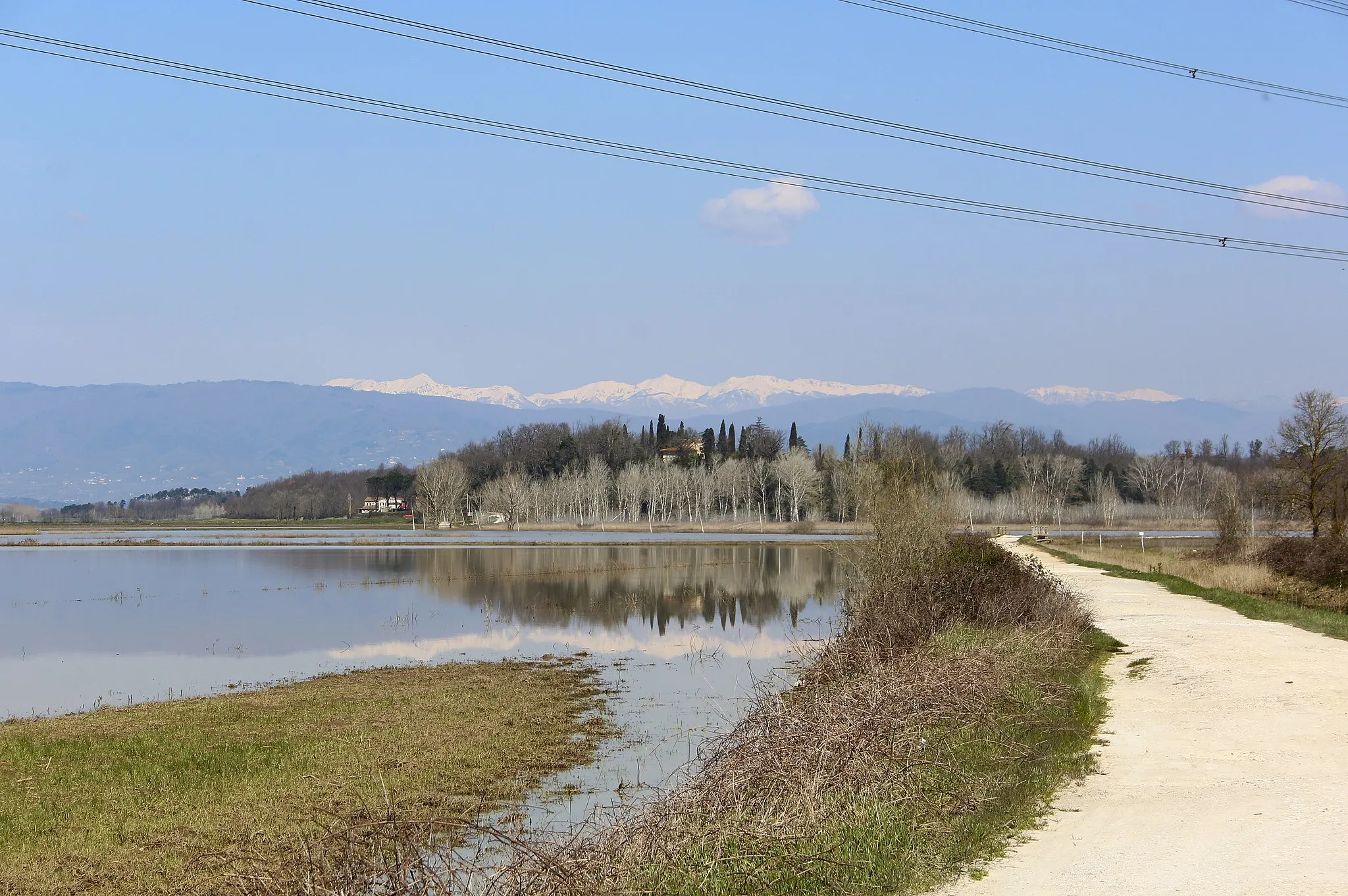 Photo showing: Lake Lago di Bientina, Bientina, Province of Pisa, Tuscany, Italy