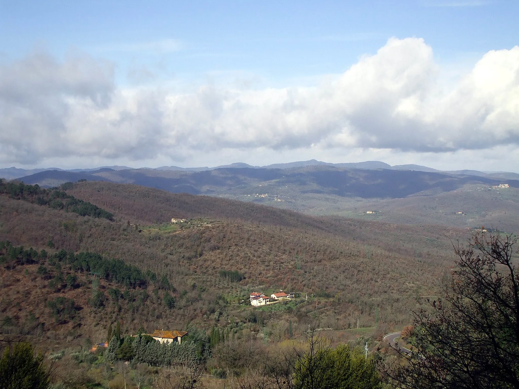 Afbeelding van Bucine