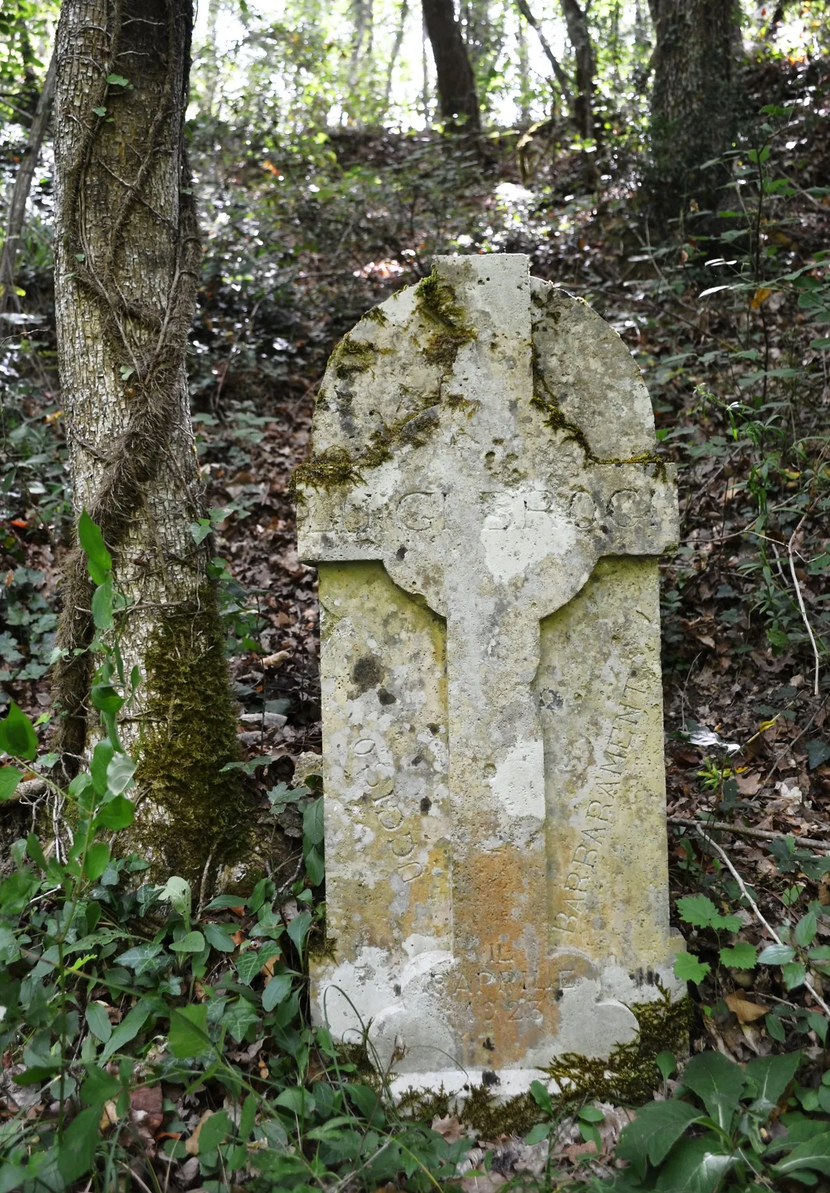 Photo showing: Lapide di Luigi Brogi (San Giovanni a Cerreto)