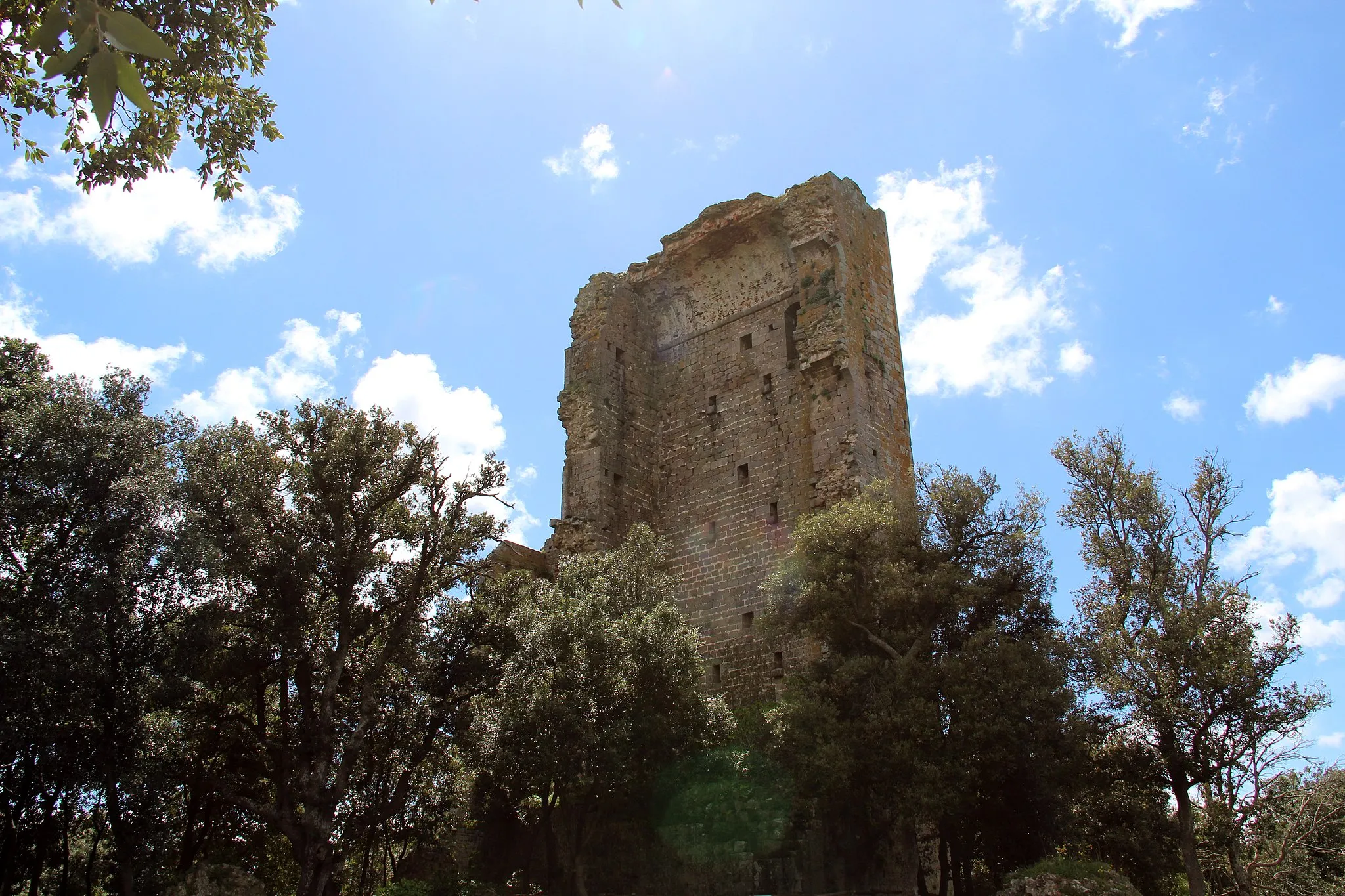 Photo showing: A photo of the remaining walls of Castello di Donoratico.