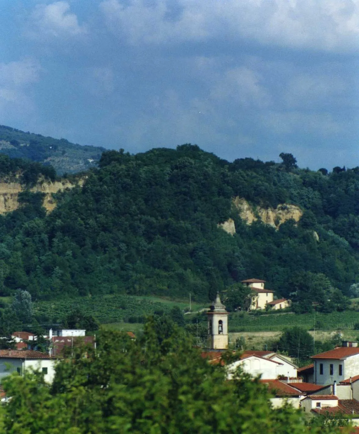 Image of Faella