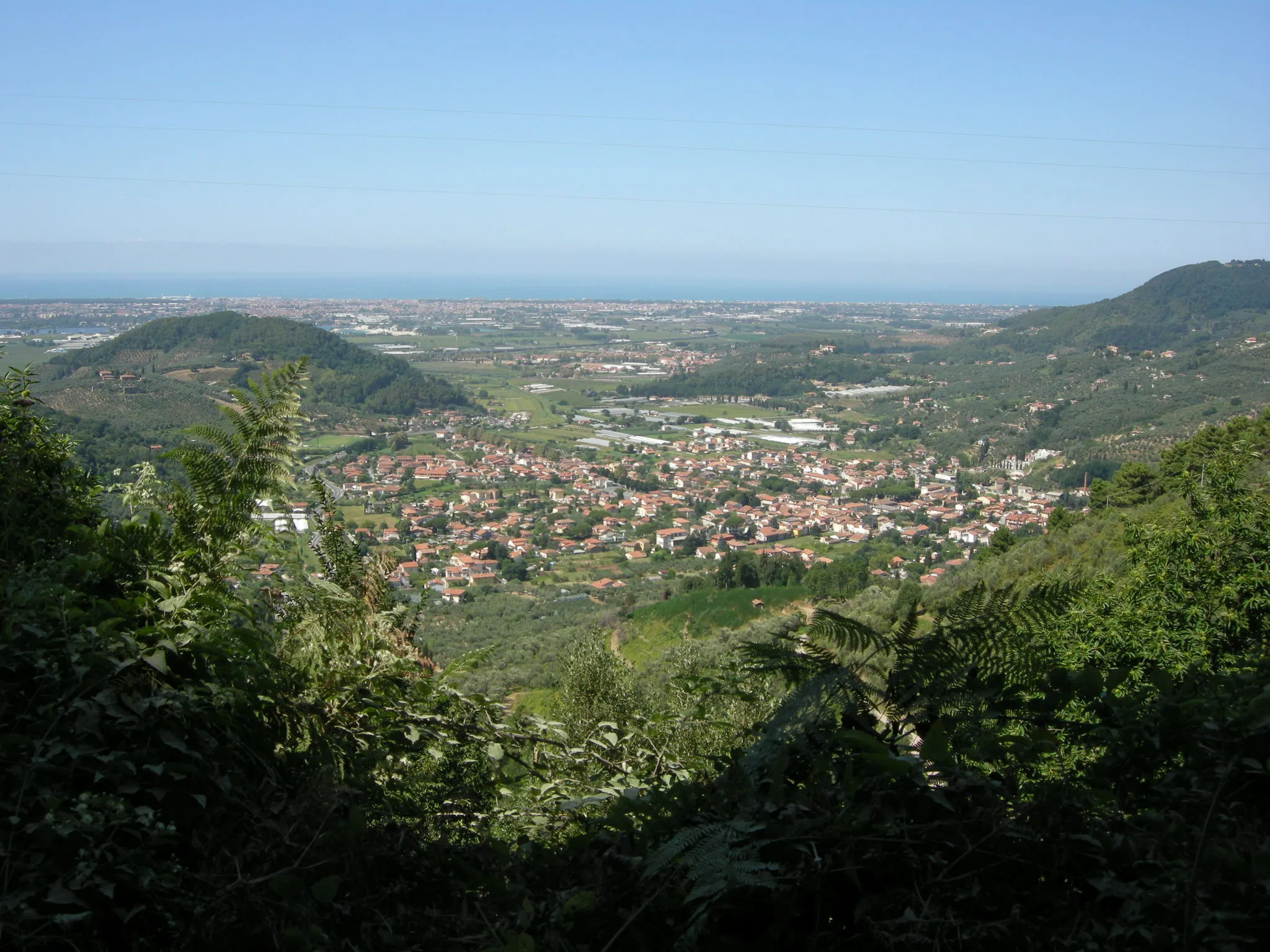 Image of Massarosa