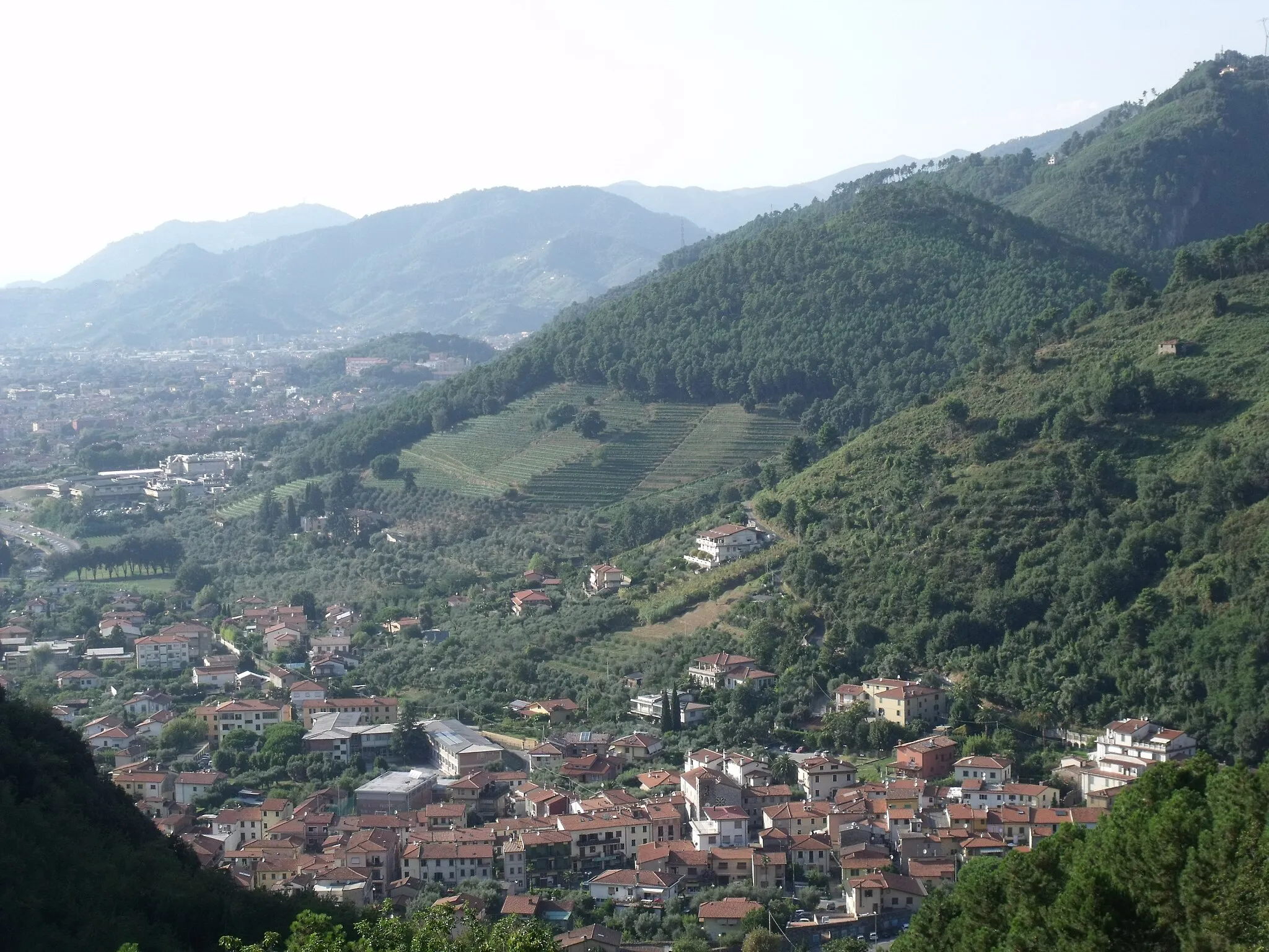 Photo showing: Panorama of Montignoso, Province of Massa Carrara, Tuscany, Italy