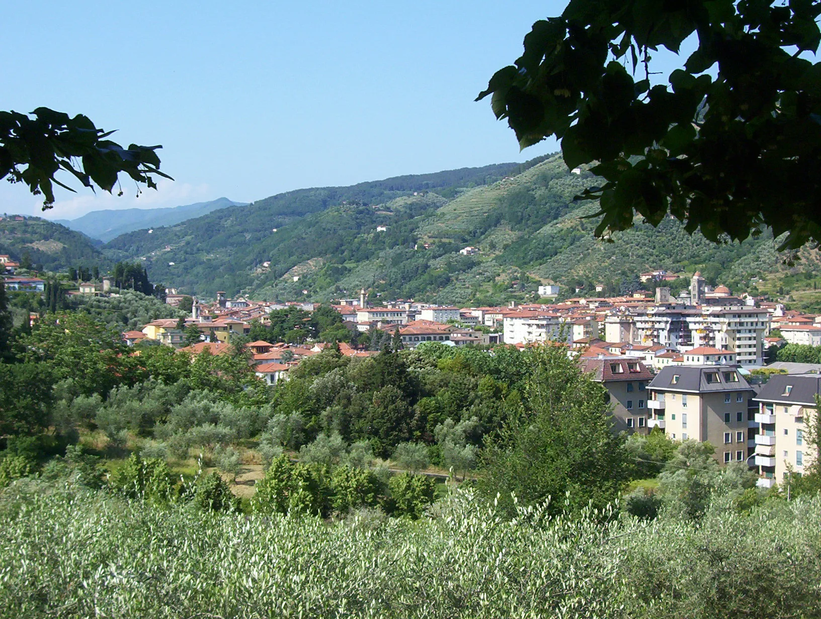 Zdjęcie: Pescia