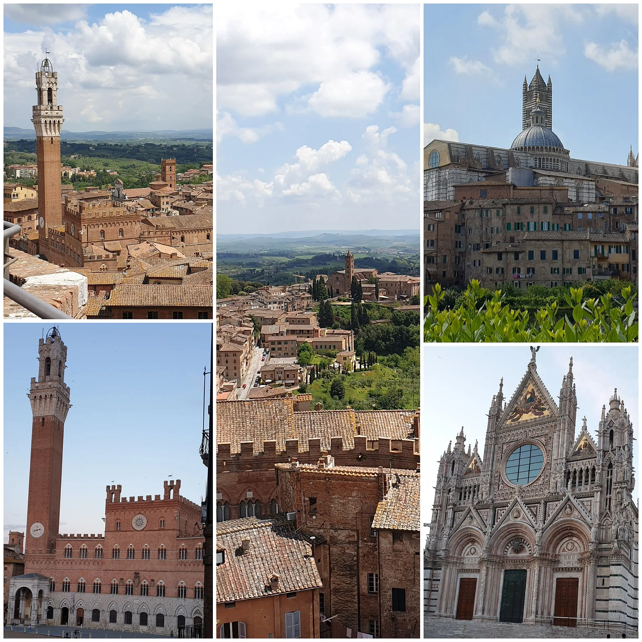 Photo showing: View of Siena: Palace of Common, Siena's Hills, The Cathedral