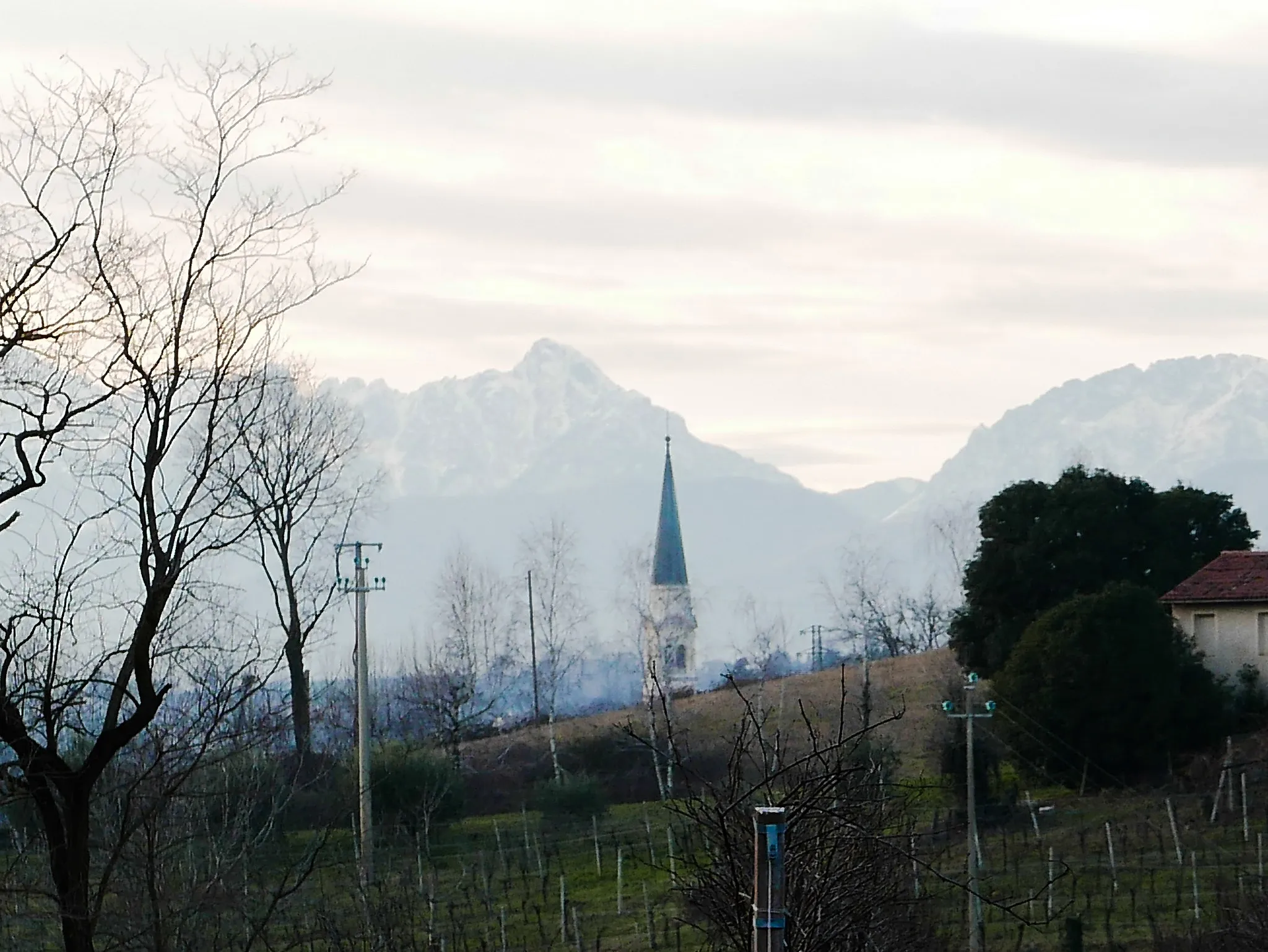 Photo showing: Panorama - Sullo sfondo le Piccole Dolomiti: a sinistra il Corneto e a destra il Pasubio