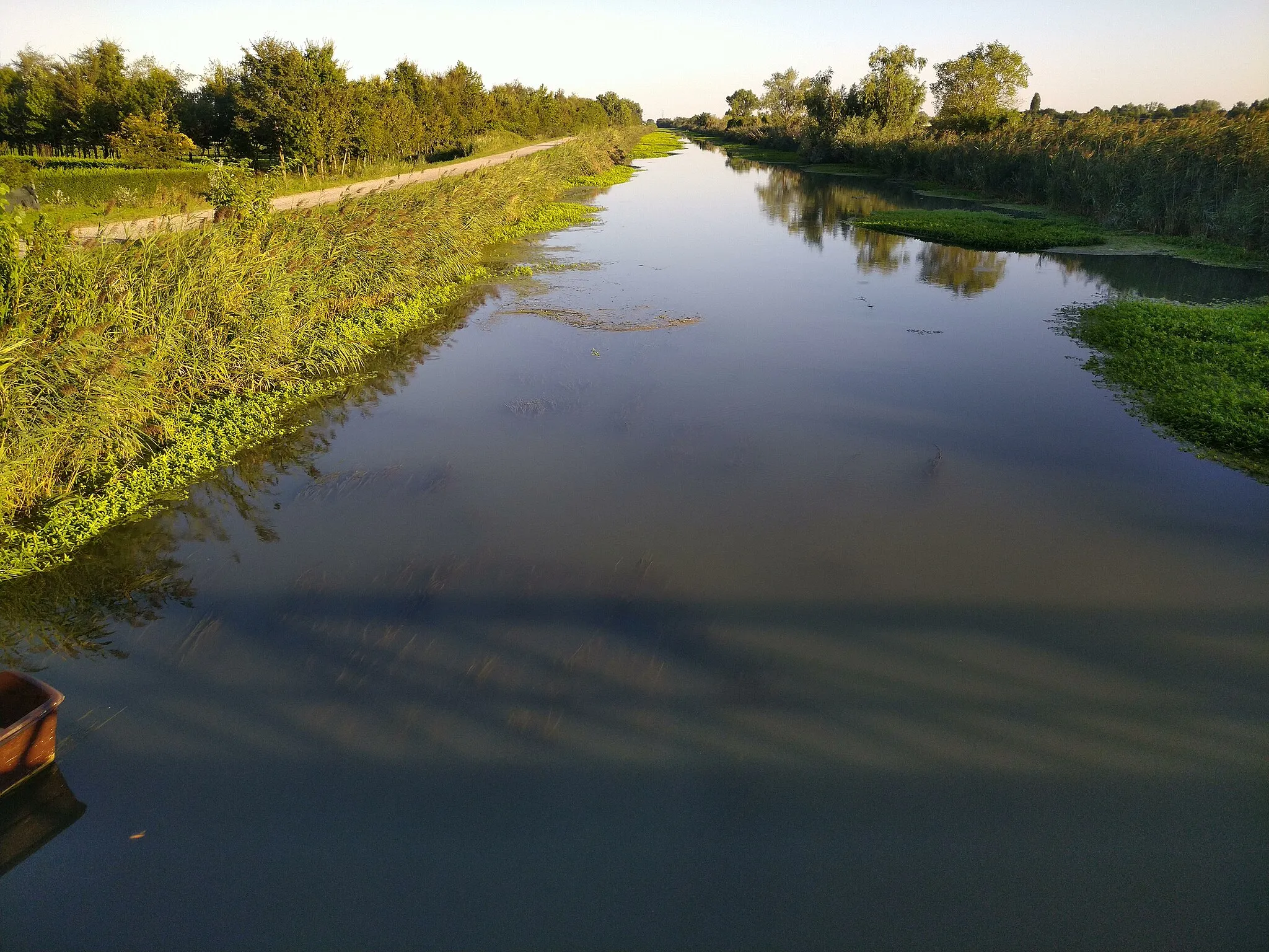 Photo showing: Taglio Novissimo del Brenta a valle dello snodo con il Canale Scaricatore della Fogolana, vista verso sudest