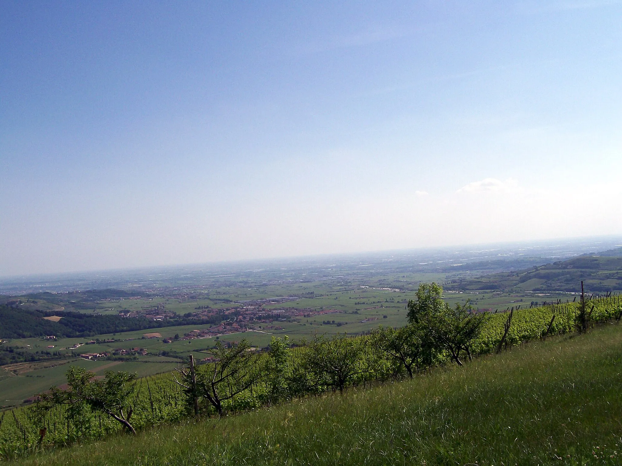 Photo showing: Vista dell'abitato di Illasi dal monte Garzon (o Gardon).