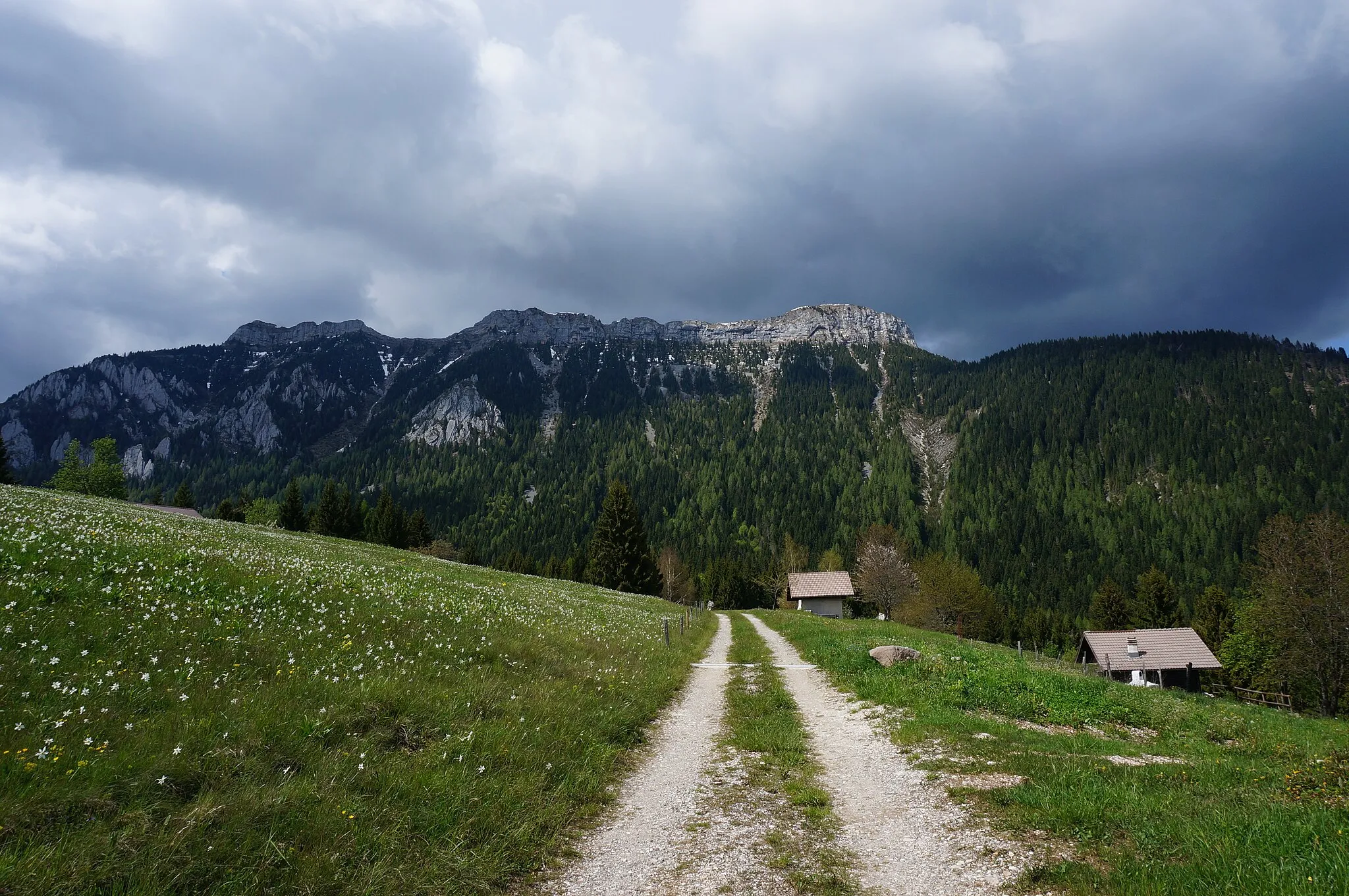 Photo showing: Monte Coppolo, May 2019