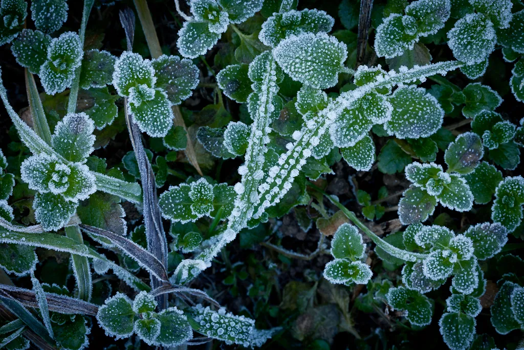 Zdjęcie: Wenecja