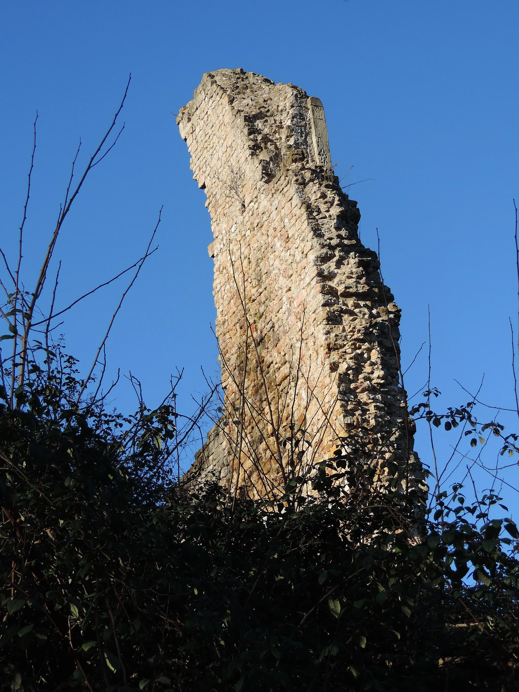 Photo showing: Ruderi della Bastia di Onigo.