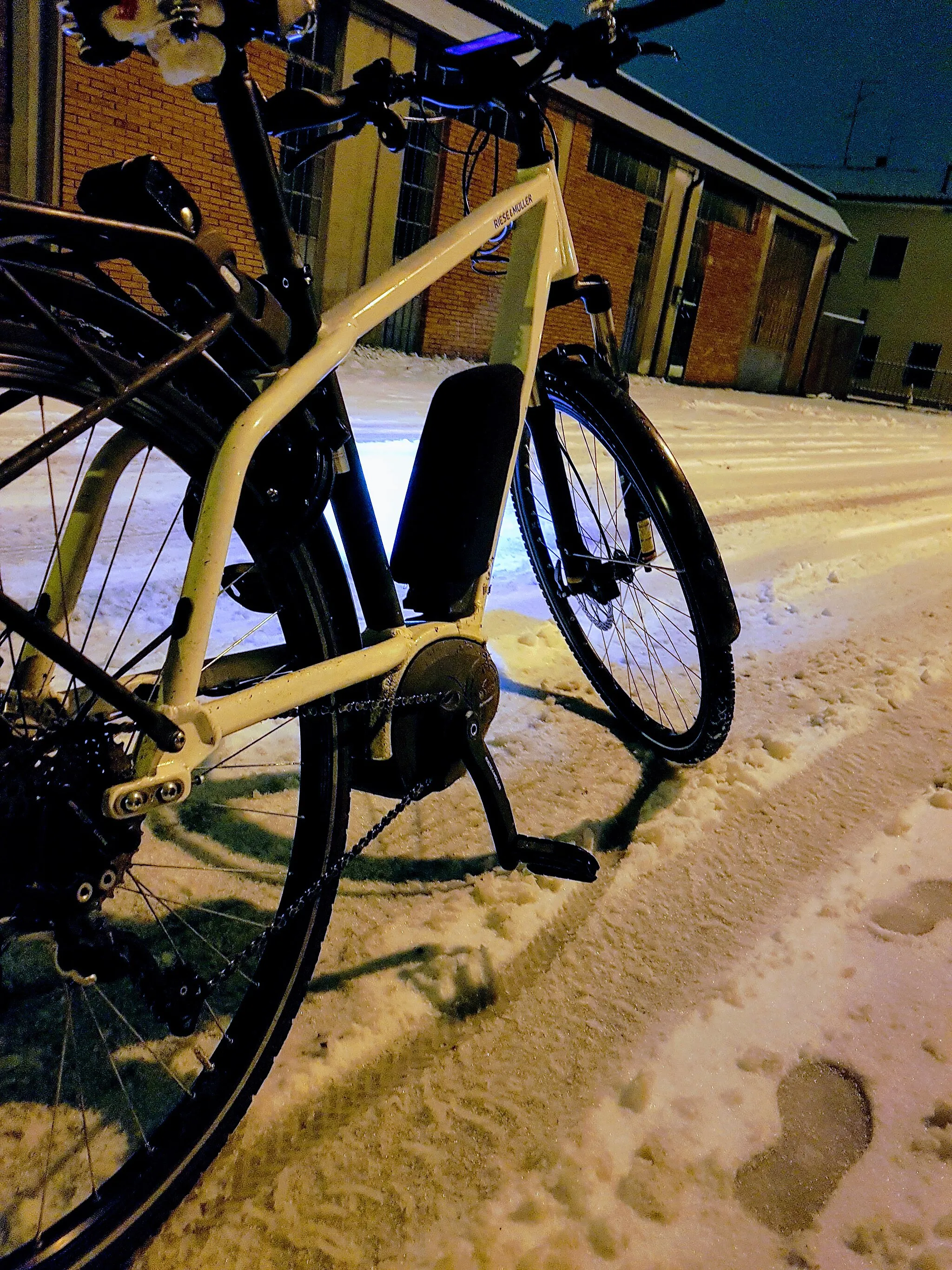 Photo showing: E-bike con ruote chiodate sotto la neve