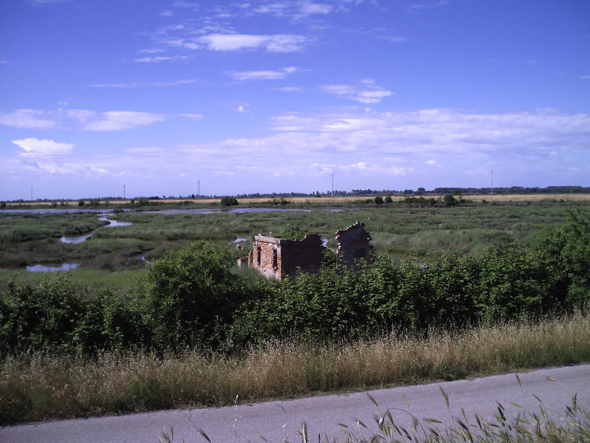 Photo showing: Uno scorcio di via delle Valli, nel comune di Rosolina (RO)