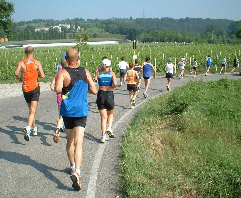 Photo showing: atleti maratona del Custoza tra i vigneti