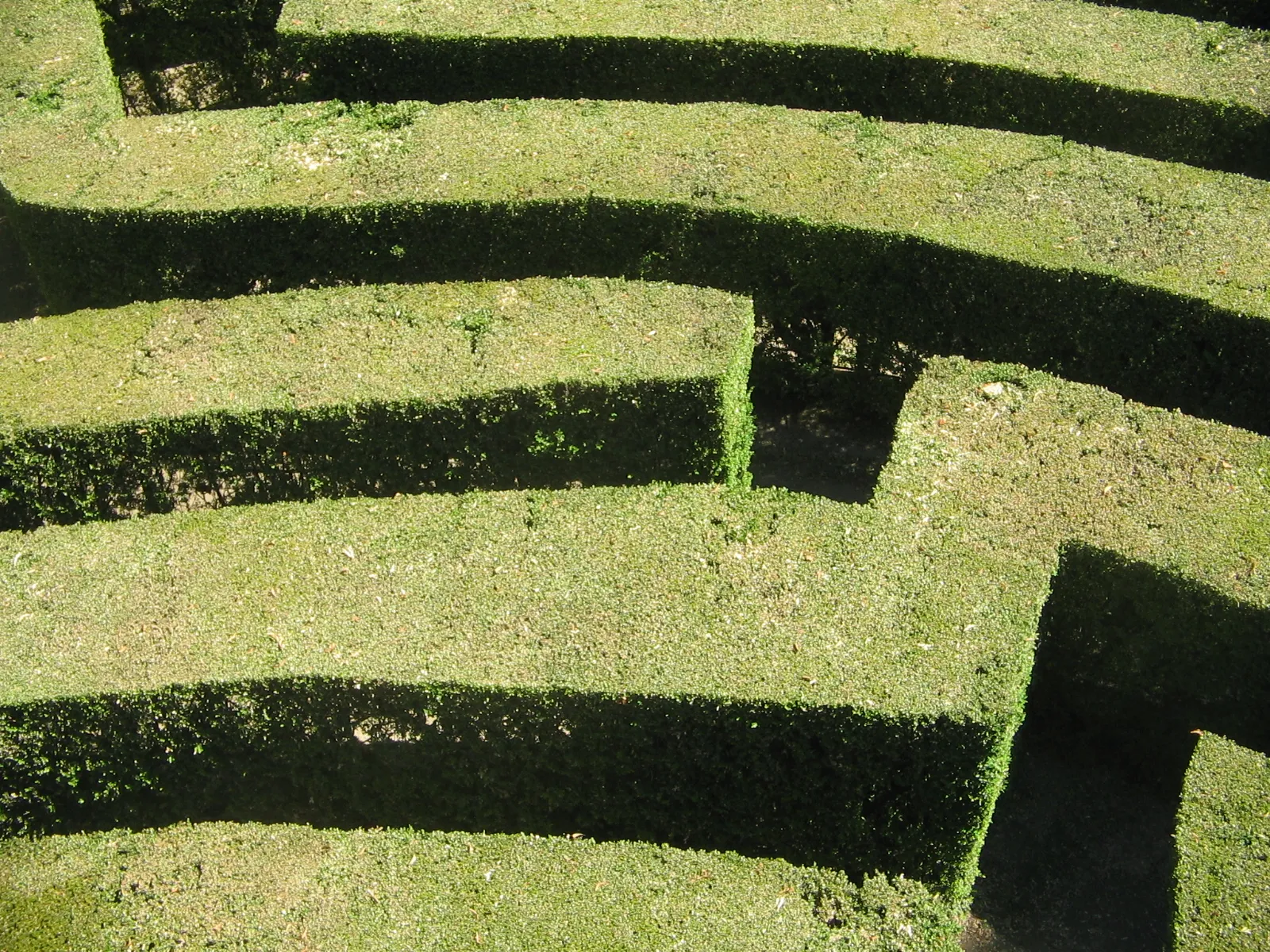 Photo showing: The labyrinth of villa Pisani, Stra (Venice, Italy)