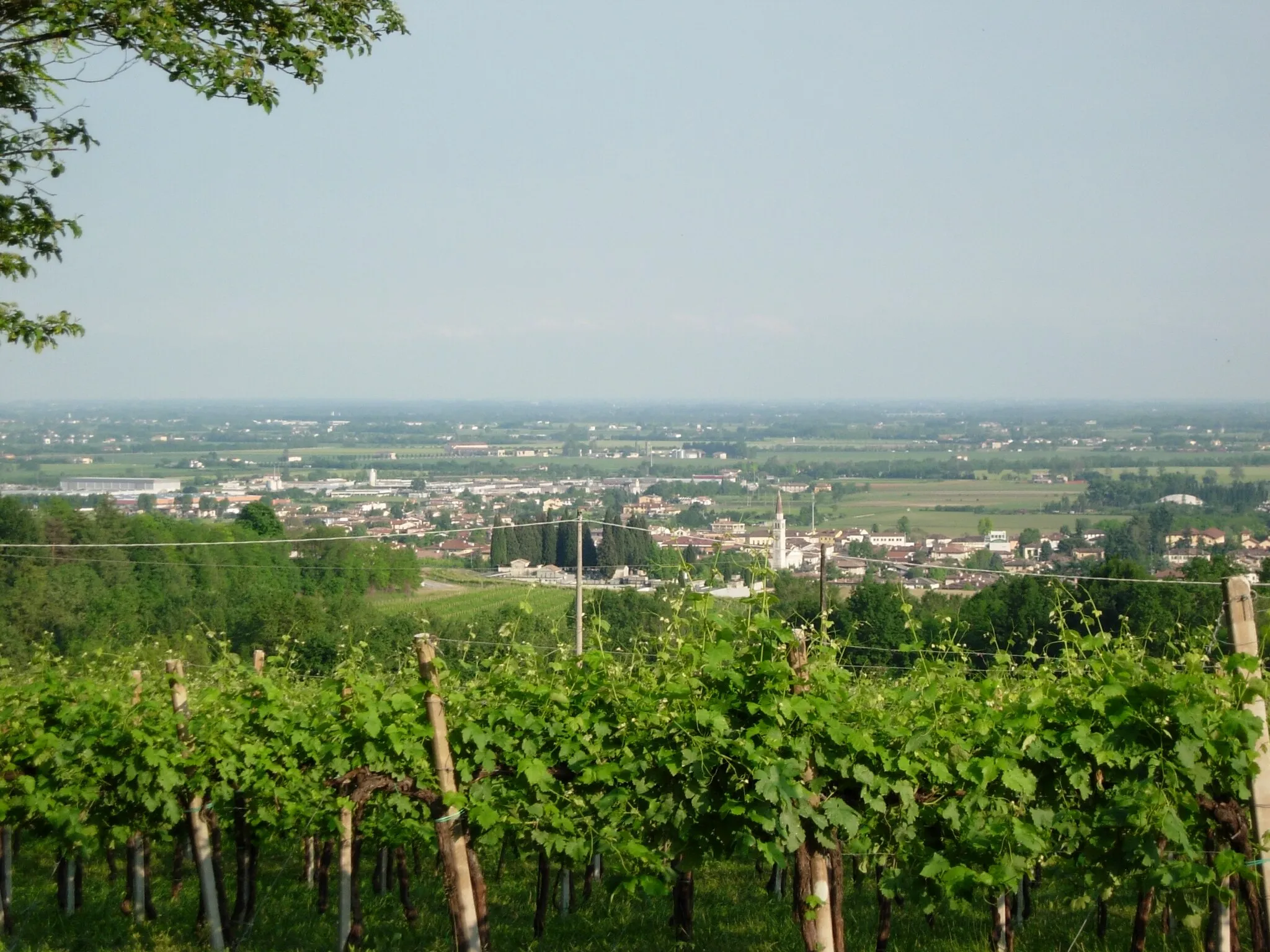 Photo showing: Center of Susegana town seen from the hills