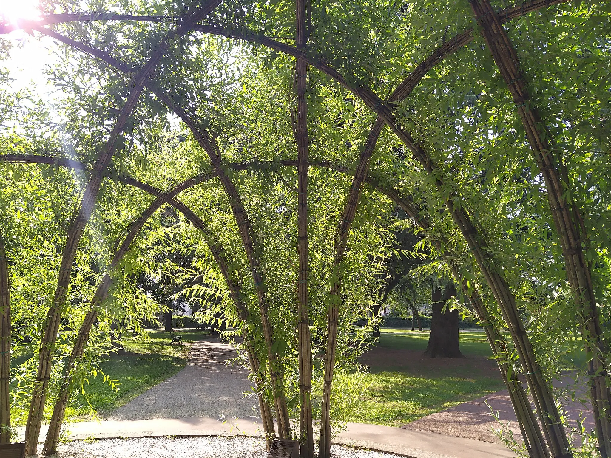 Photo showing: Il salicetum è un gazebo naturale di tronchi intrecciati