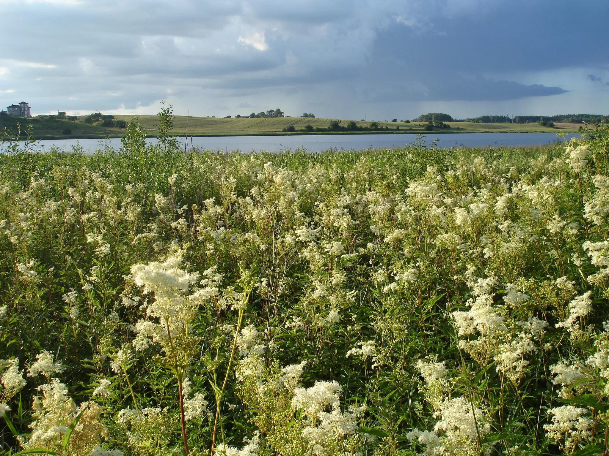 Photo showing: Saldus lake