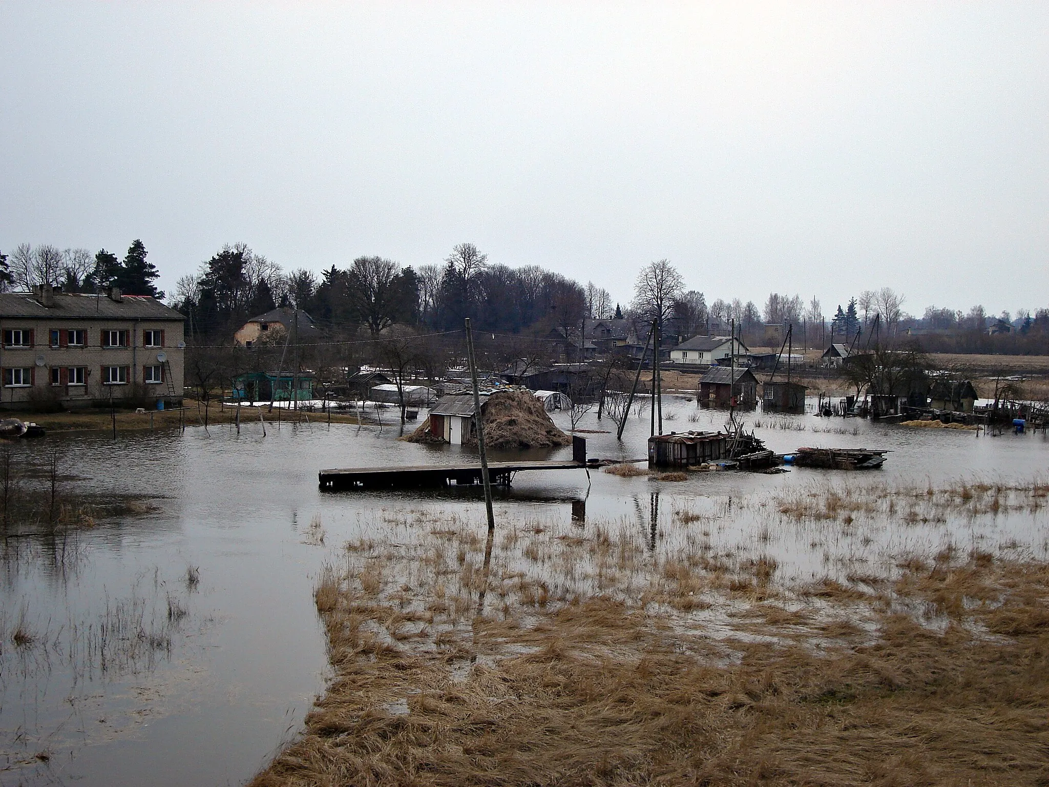 Photo showing: Тирели, 2010 г.