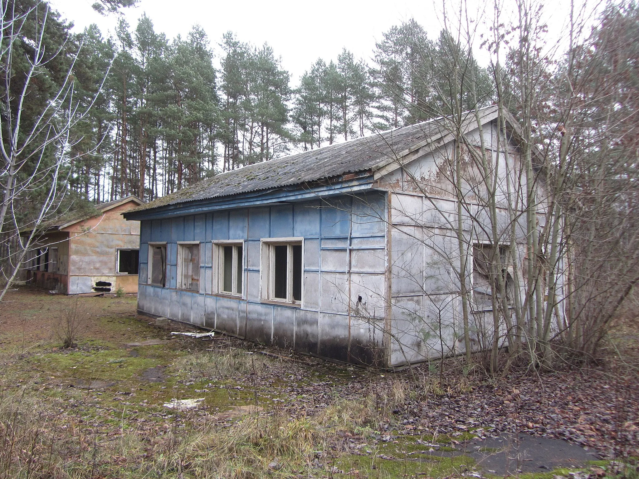 Photo showing: Grigiškės, Lithuania