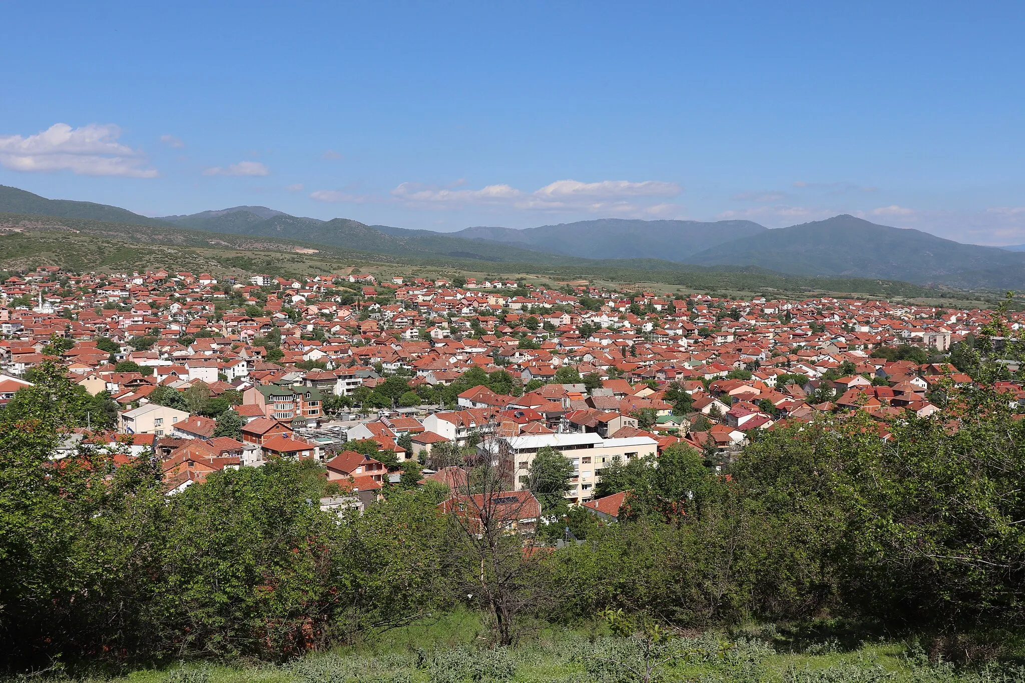 Image of Radovis