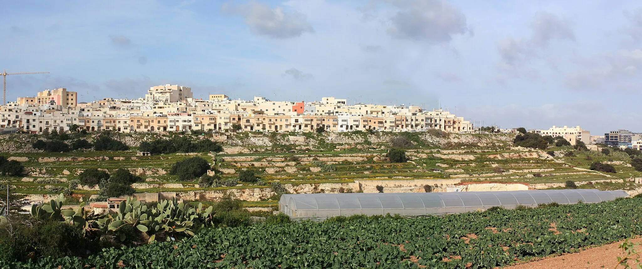 Immagine di Malta